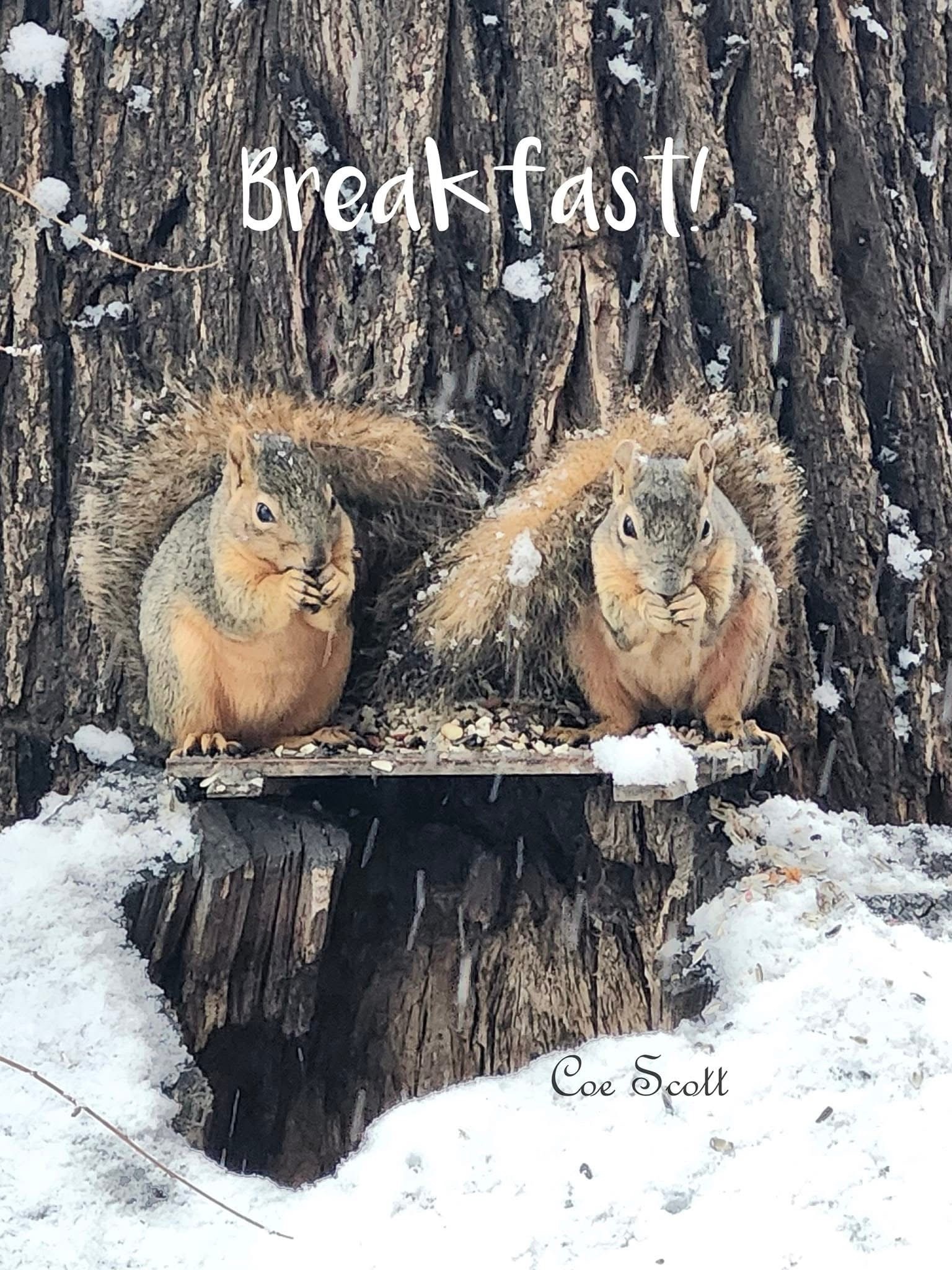 The Most Important Meal of the Day
