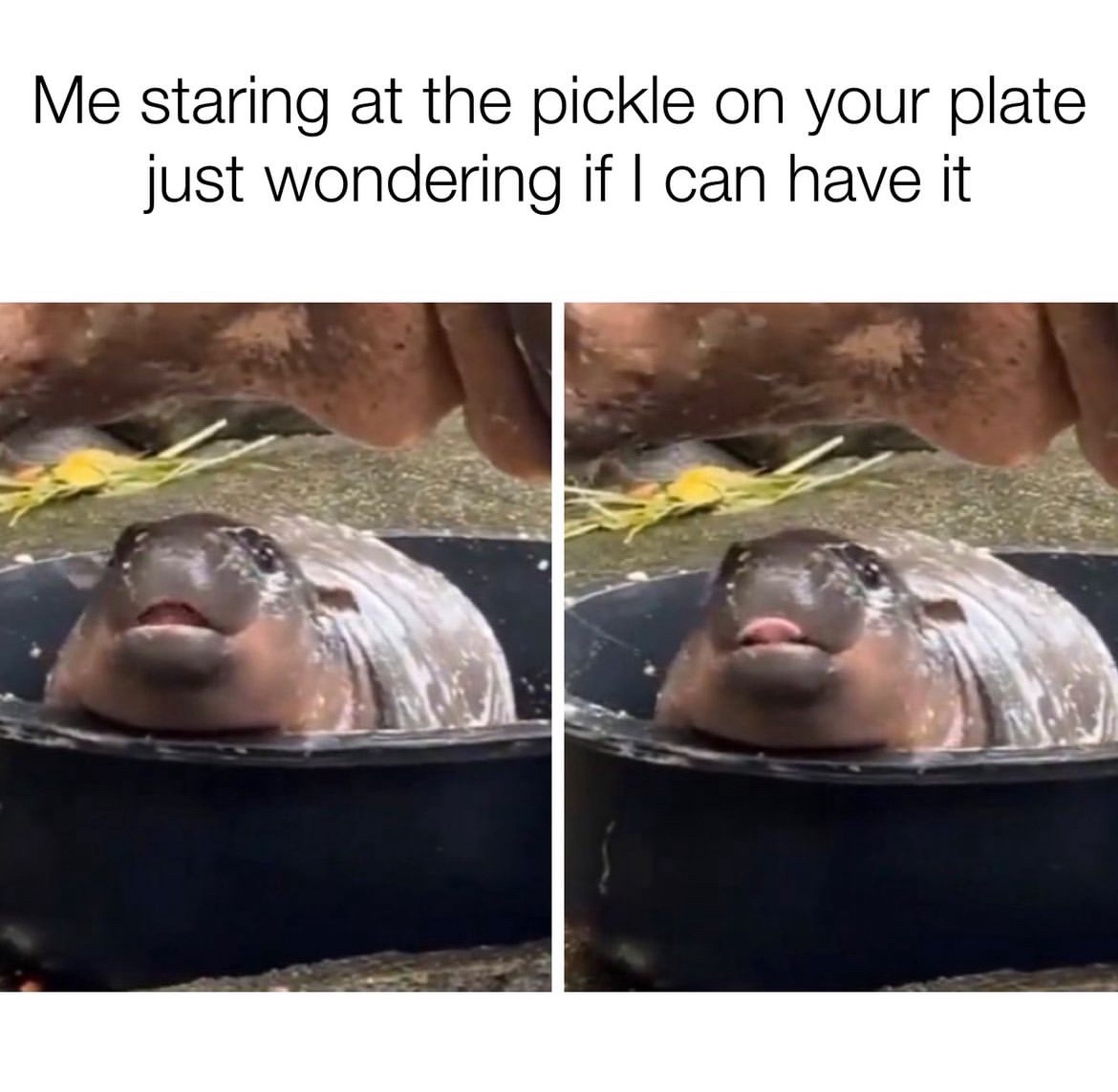A Simple Request: Please?