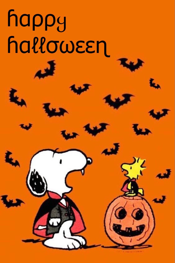 Wishing You a Spooktacular Halloween!