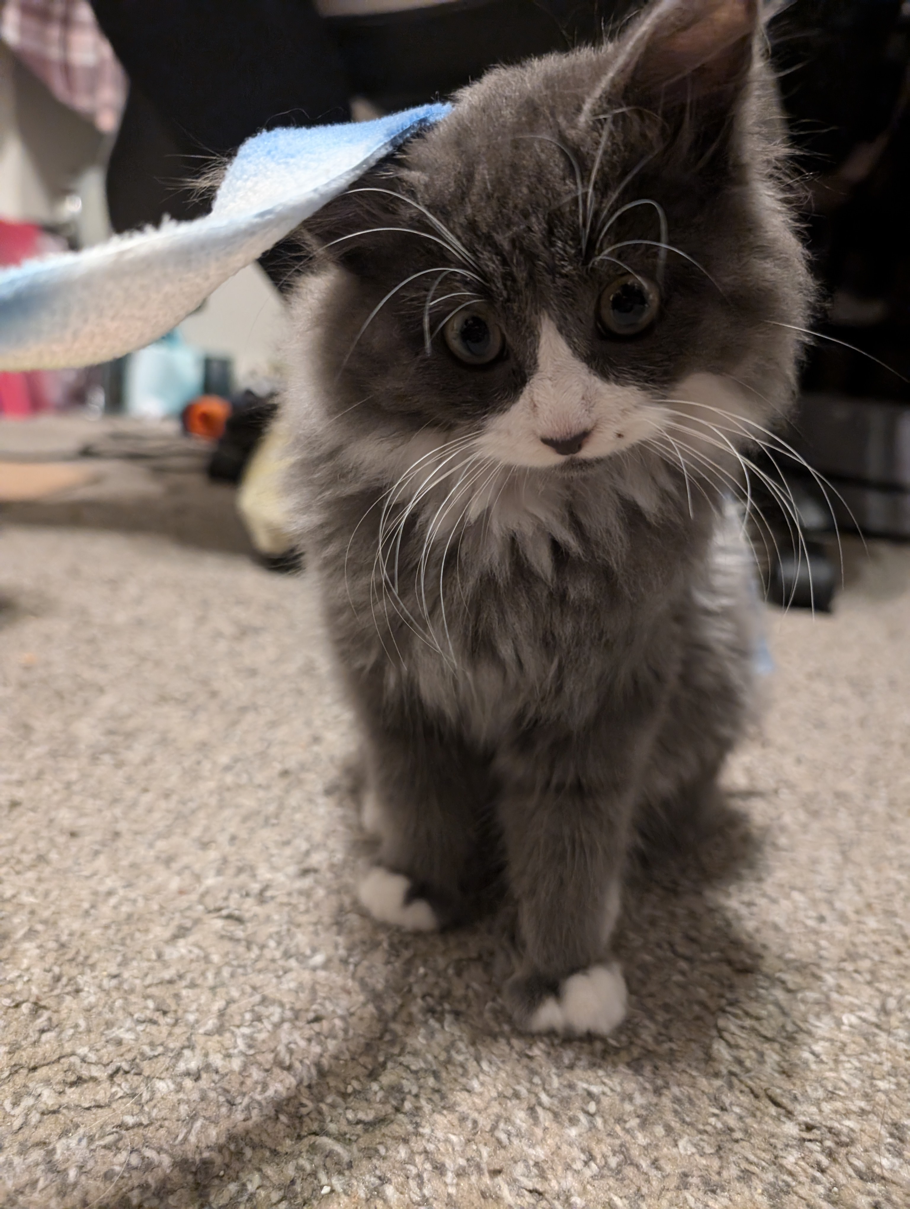 Help us decide on the perfect name for this adorable baby!