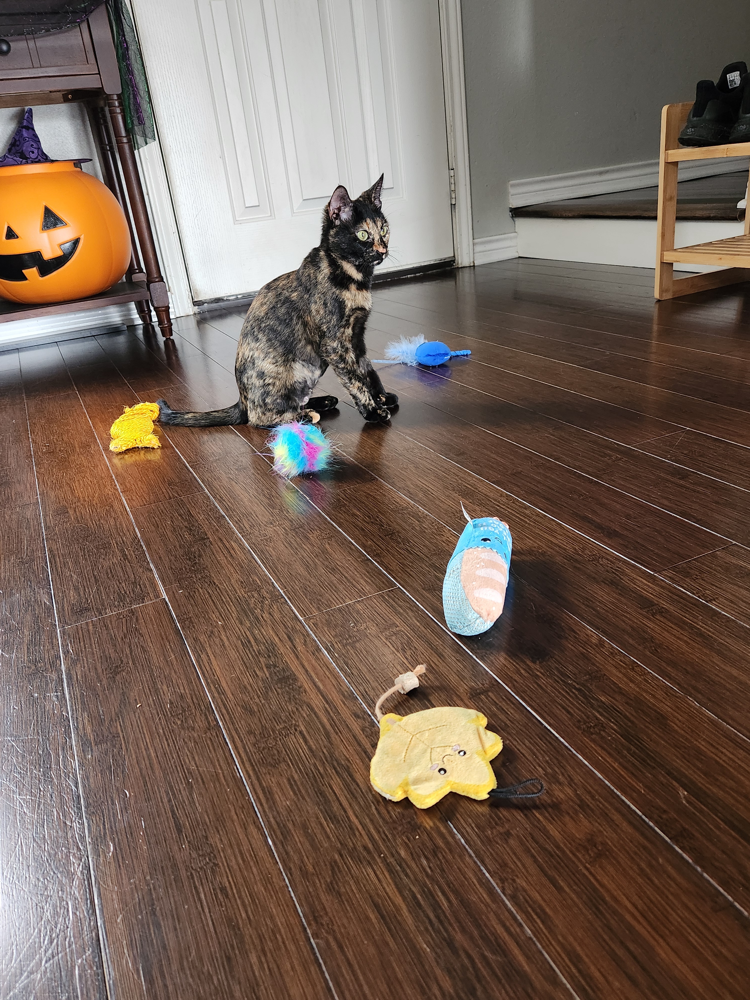The Dullness of Toys That Just Don't Spark Joy