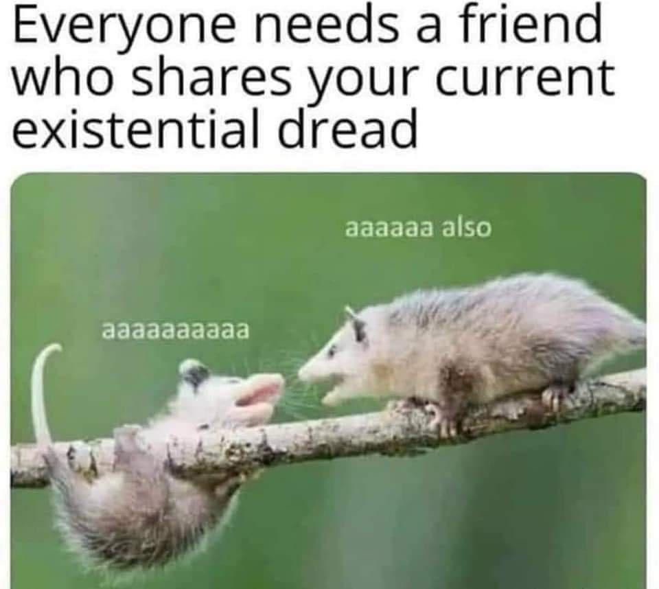 Time to Clear Out These Memes from My Phone!