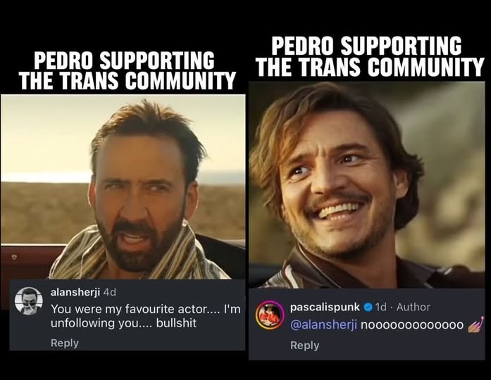 Pedro: The Unsung Hero Who Deserves All the Love