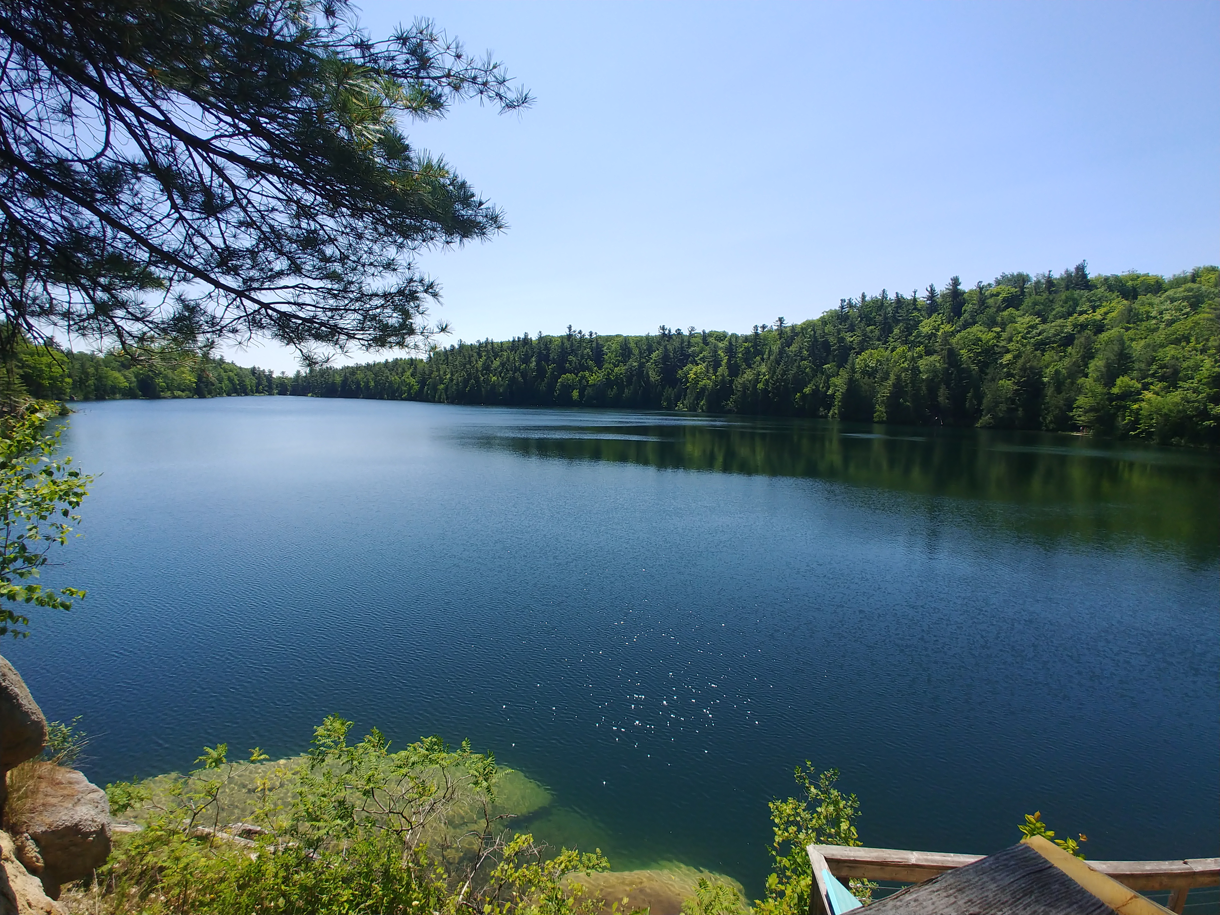 Breathtaking Beauty: Exploring Gatineau Park in Canada!