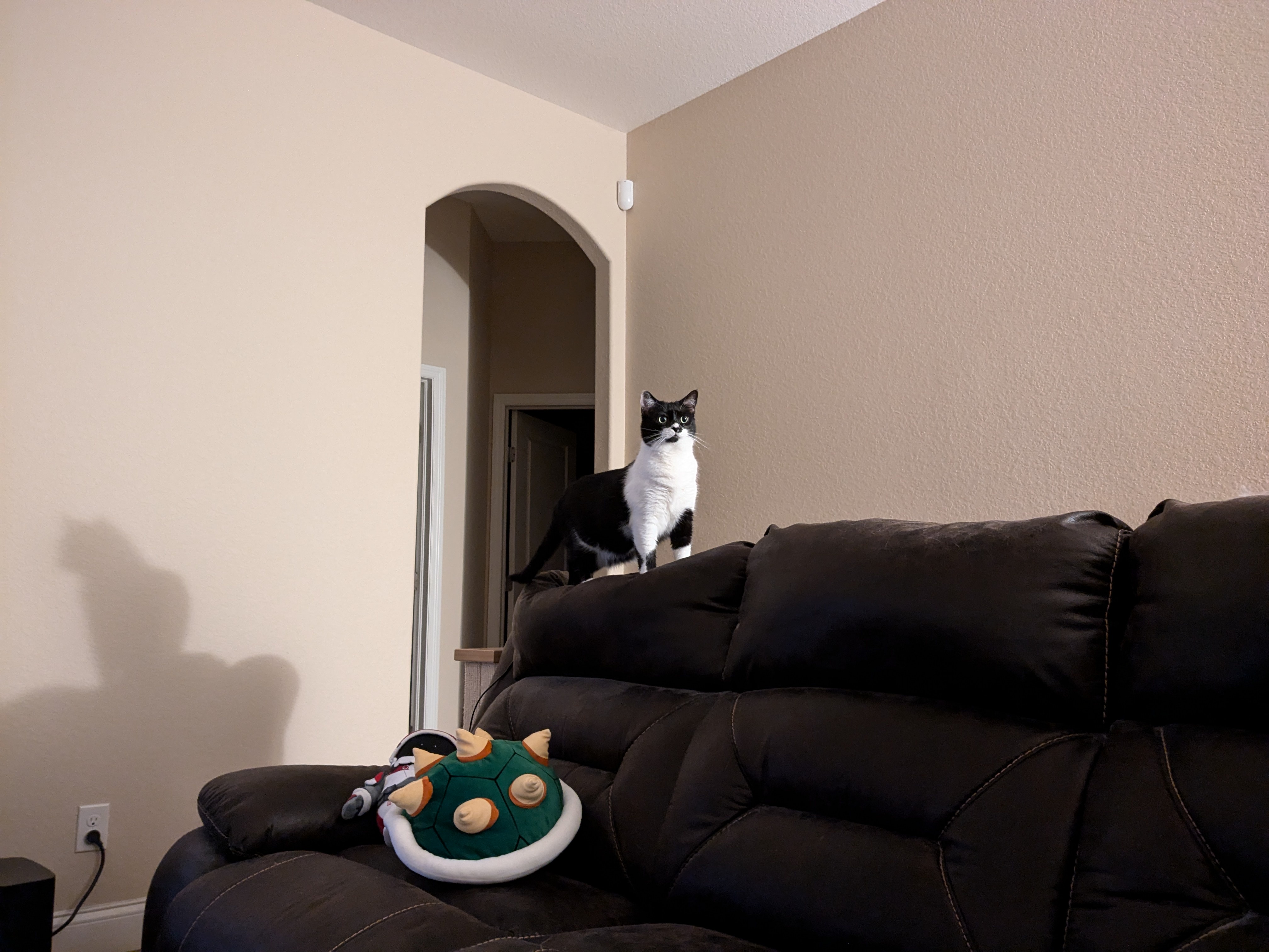 Something mysterious lurks in the shadows