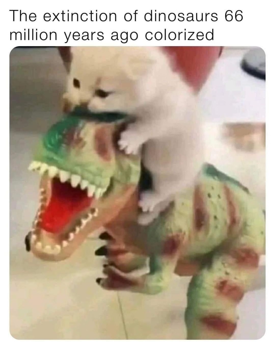 Memes Galore: Volume 22 for Everyone!