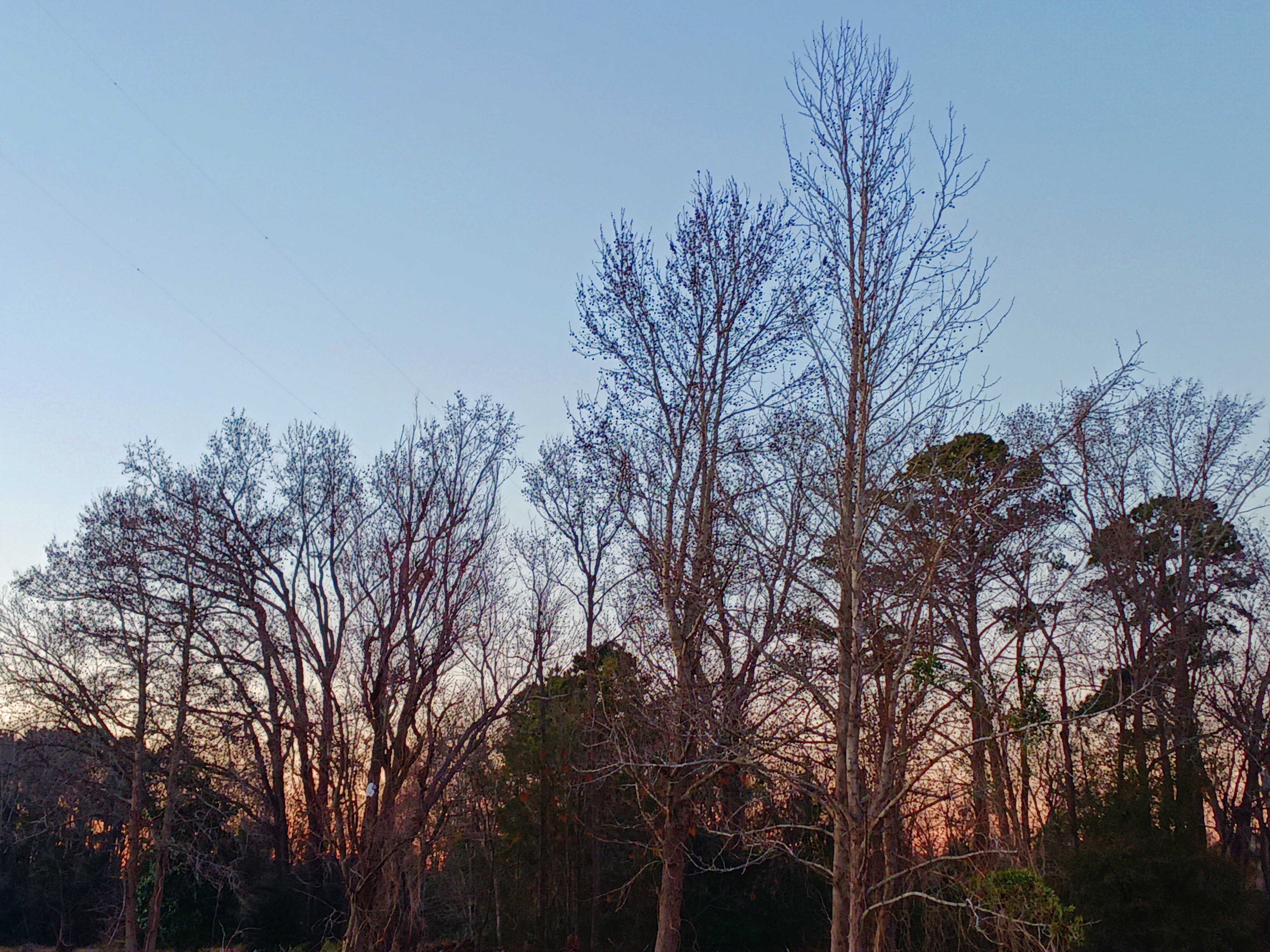 A Serene Dusk in Fairmont