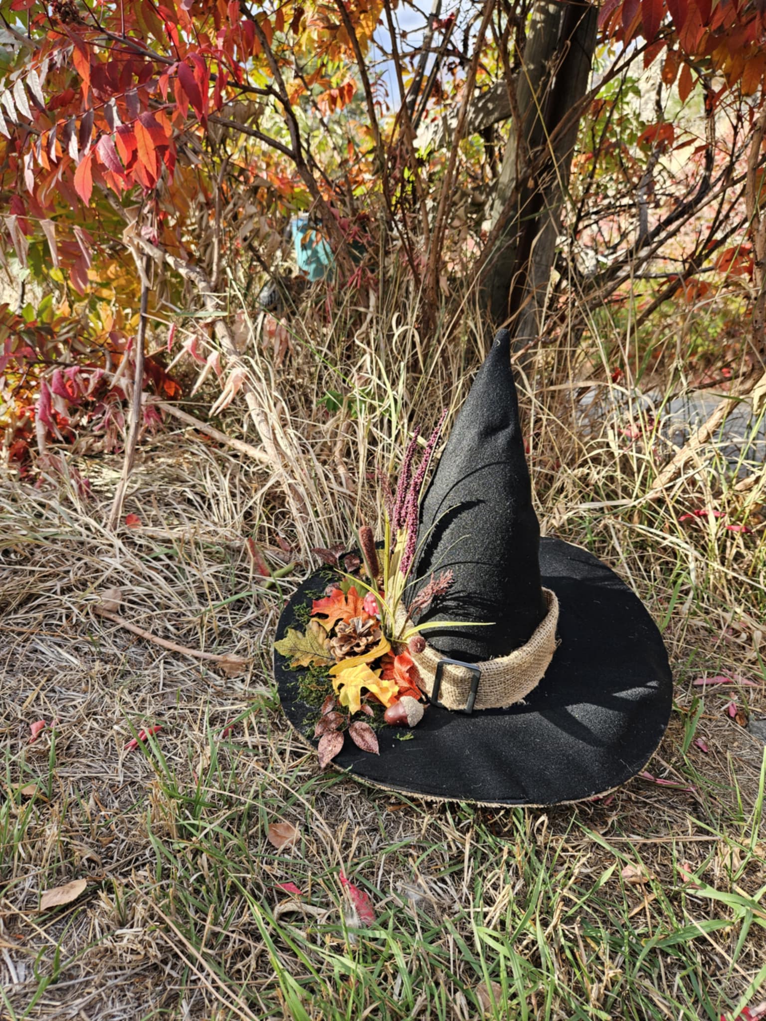 The Enigmatic Lg Swamp Witch