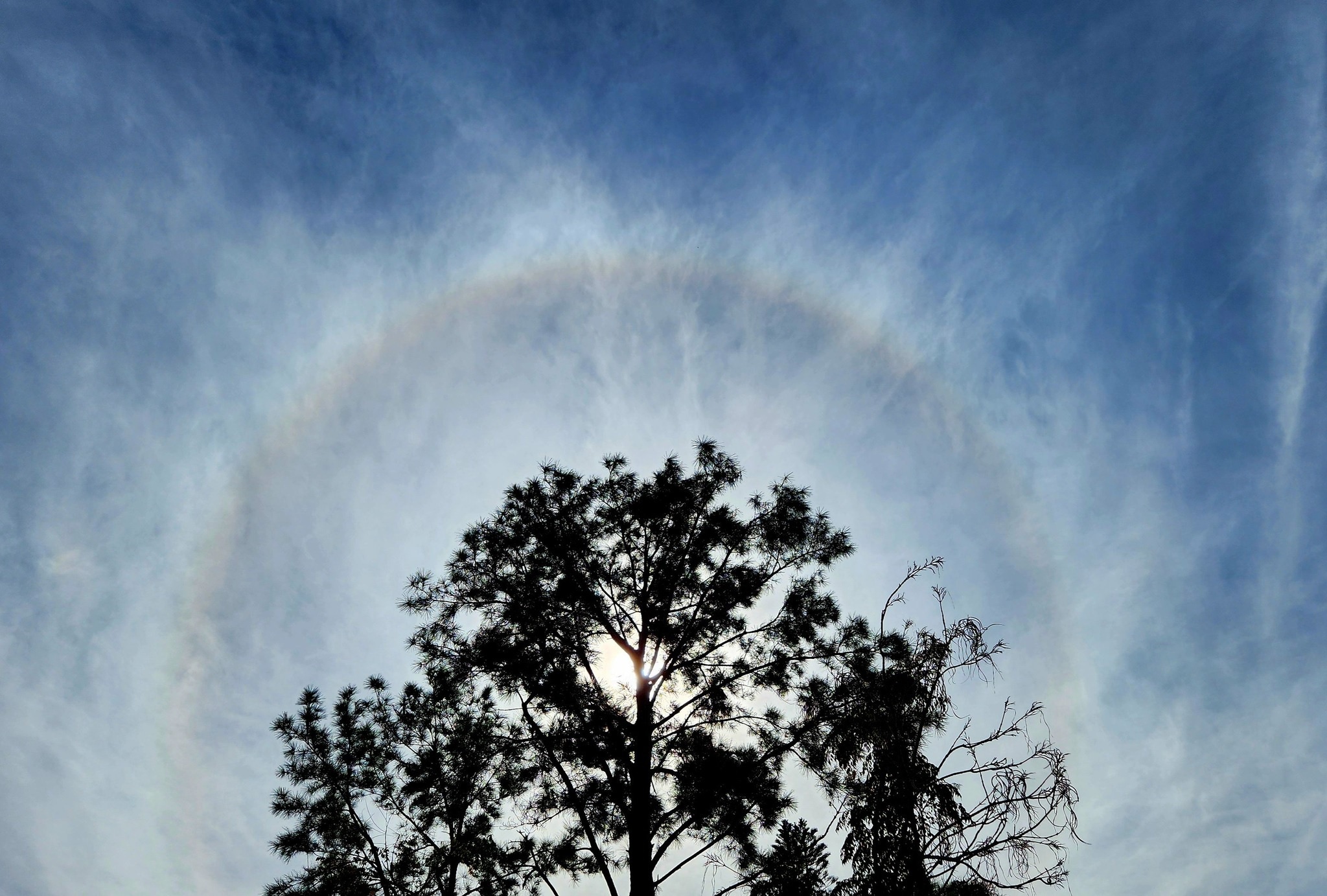 A Stunning Halo Surrounding the Sun on a Crisp Florida Morning