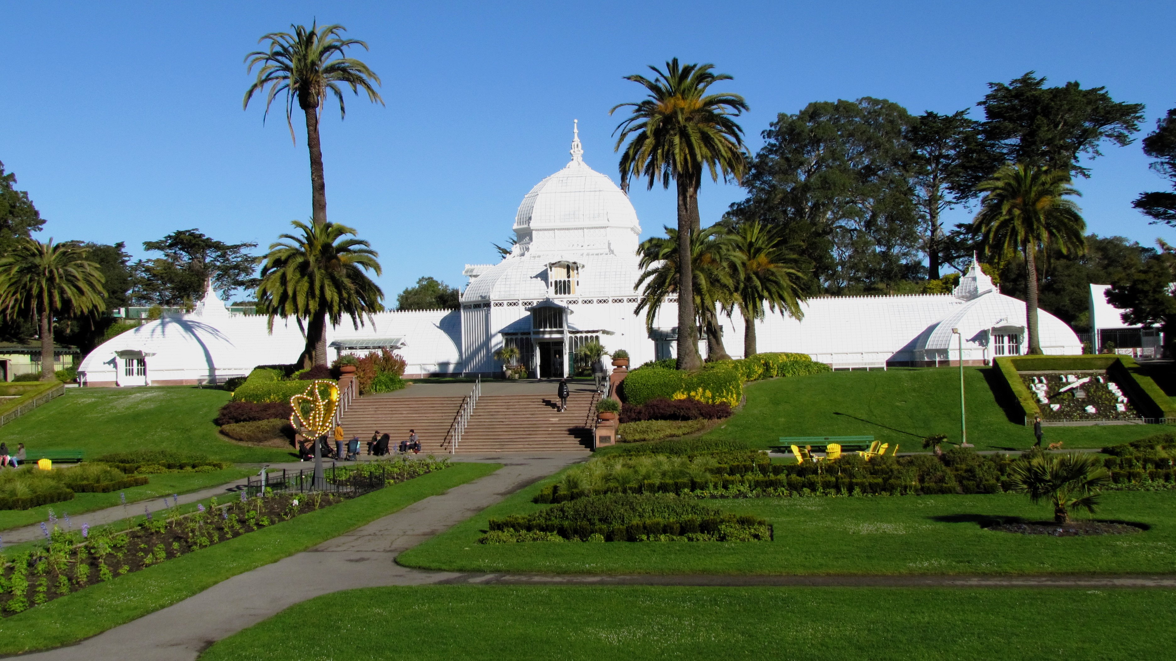 Discovering Beauty at the Conservatory of Flowers