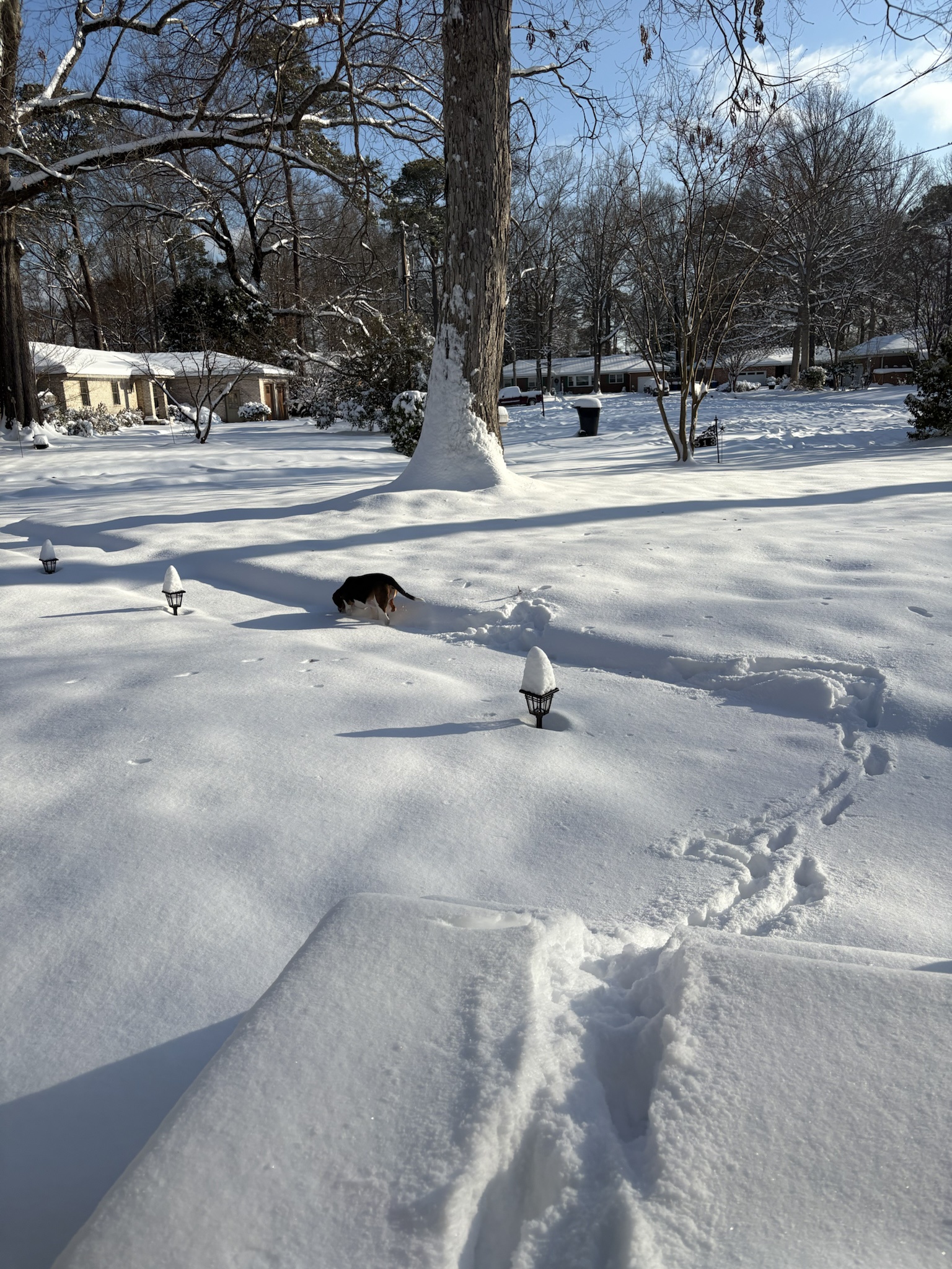 It's a Winter Wonderland: Let It Snow, Let It Snow, Let It Snow!