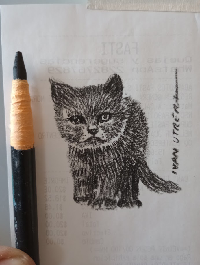 The Adorable Cat Chronicles