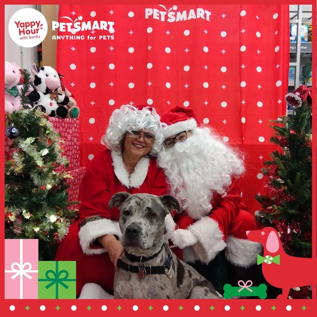 Earl: The Best Boy on Santa's Nice List