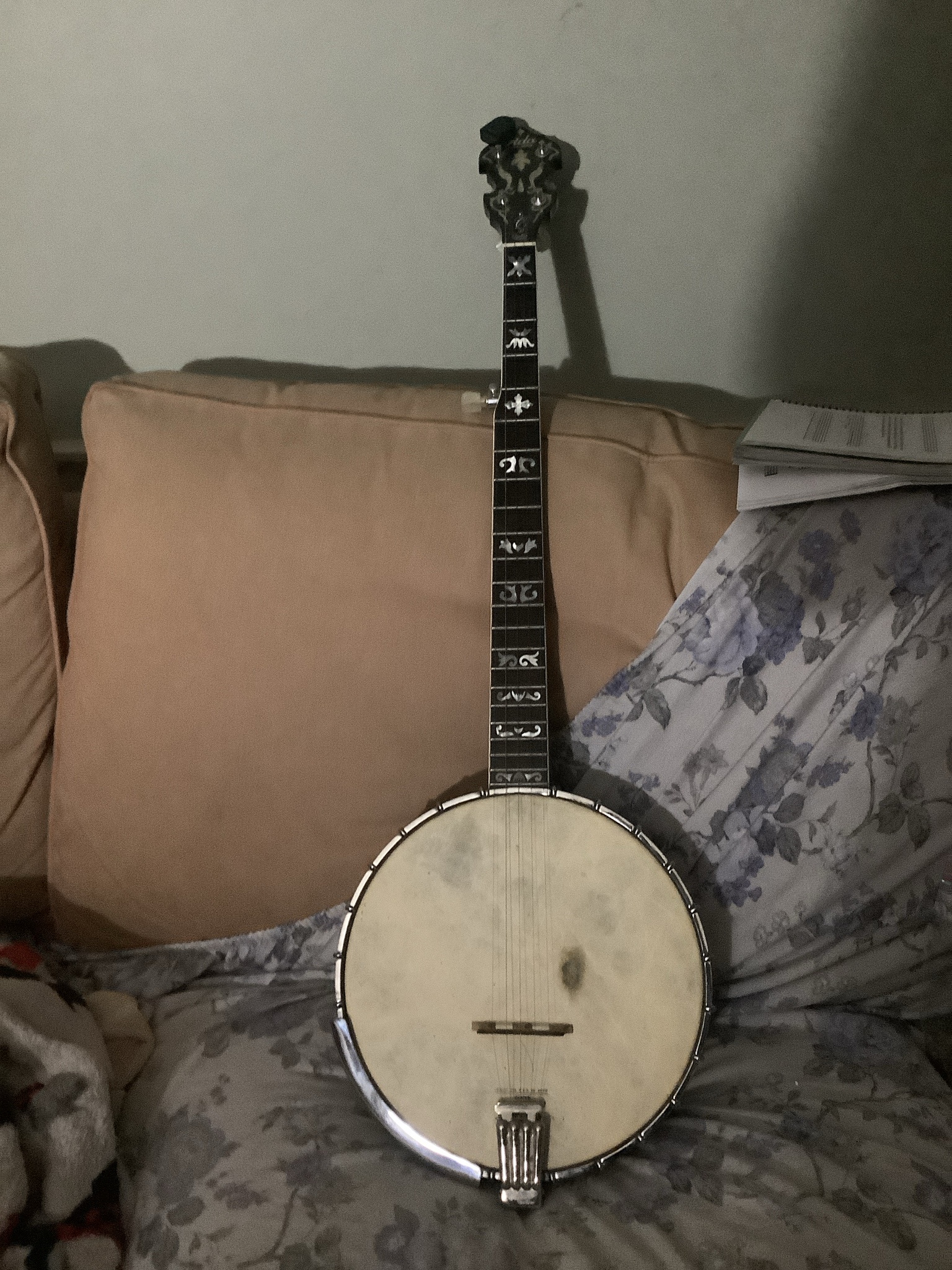 Celebrating New Banjo Day: A Musical Milestone