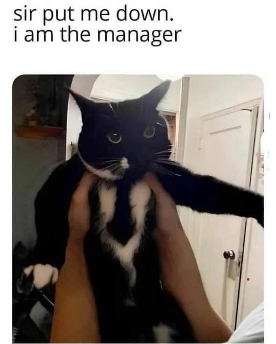 Is it Meowneger or Meow Manager?