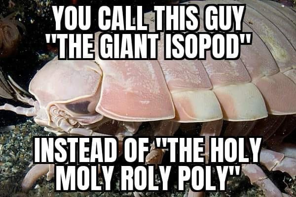 Another Round of #56 Memes for Your Enjoyment