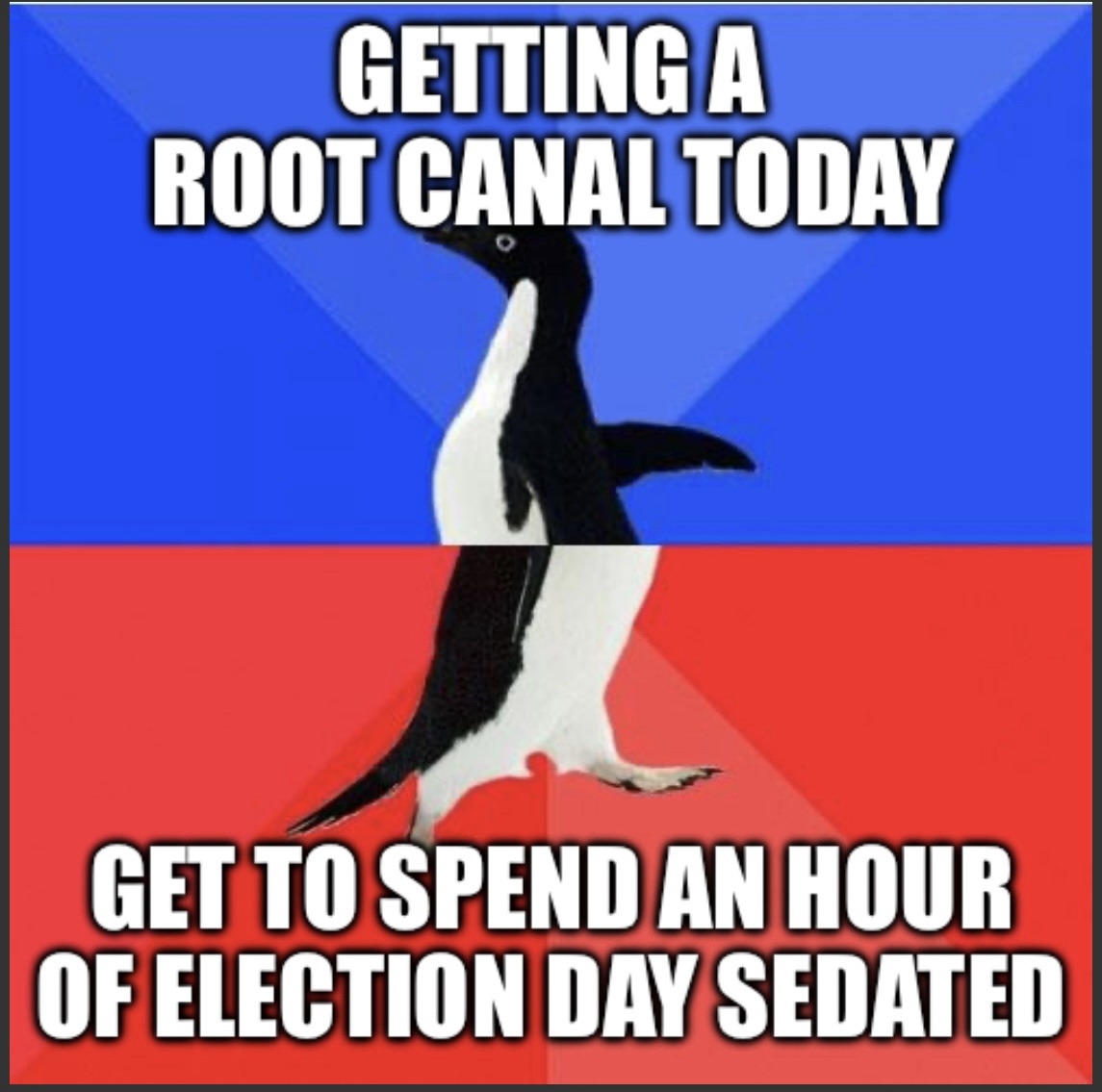 Finally, a Break from the Constant Anxiety!