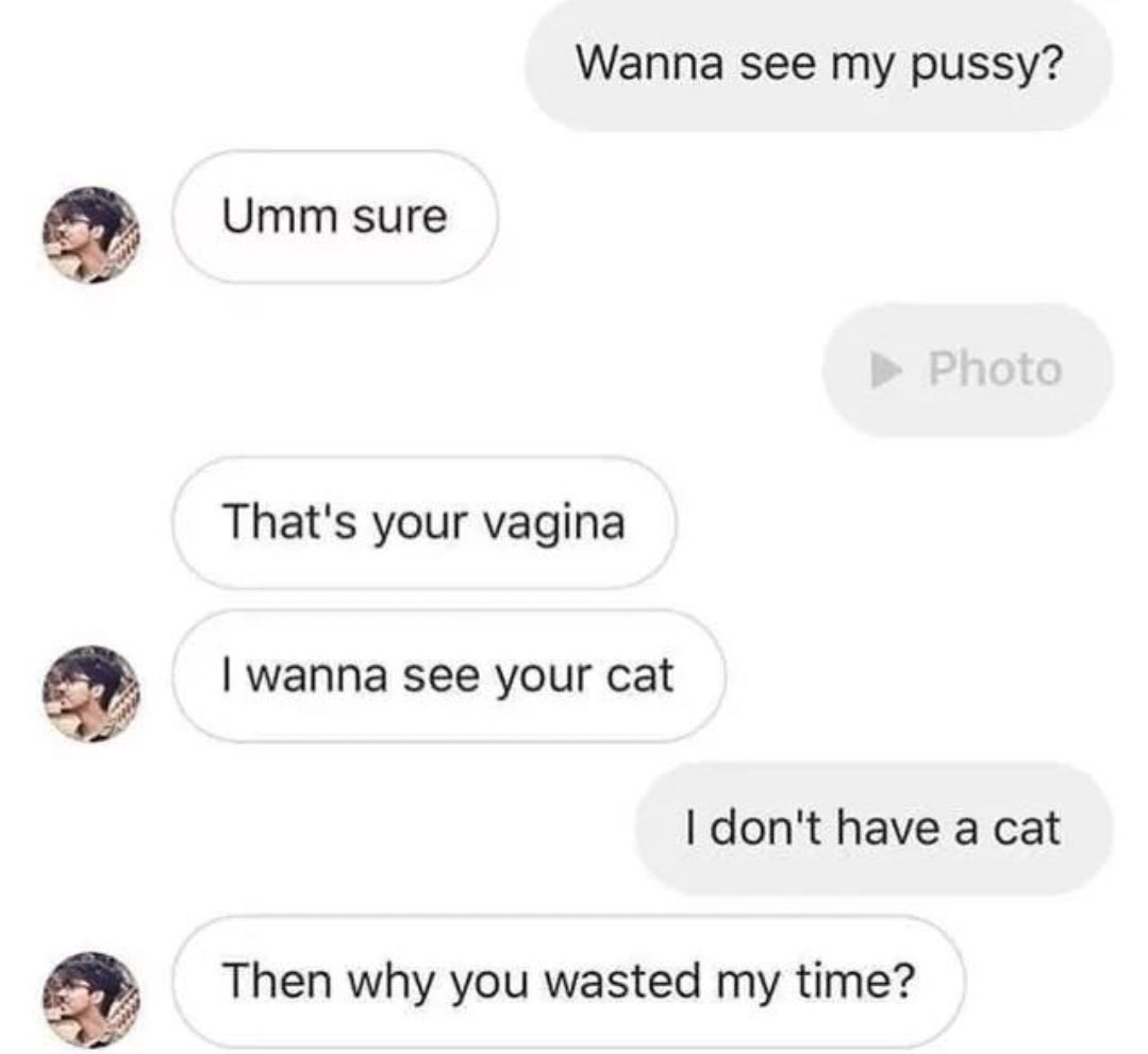 Just a bunch of adorable cat pictures.