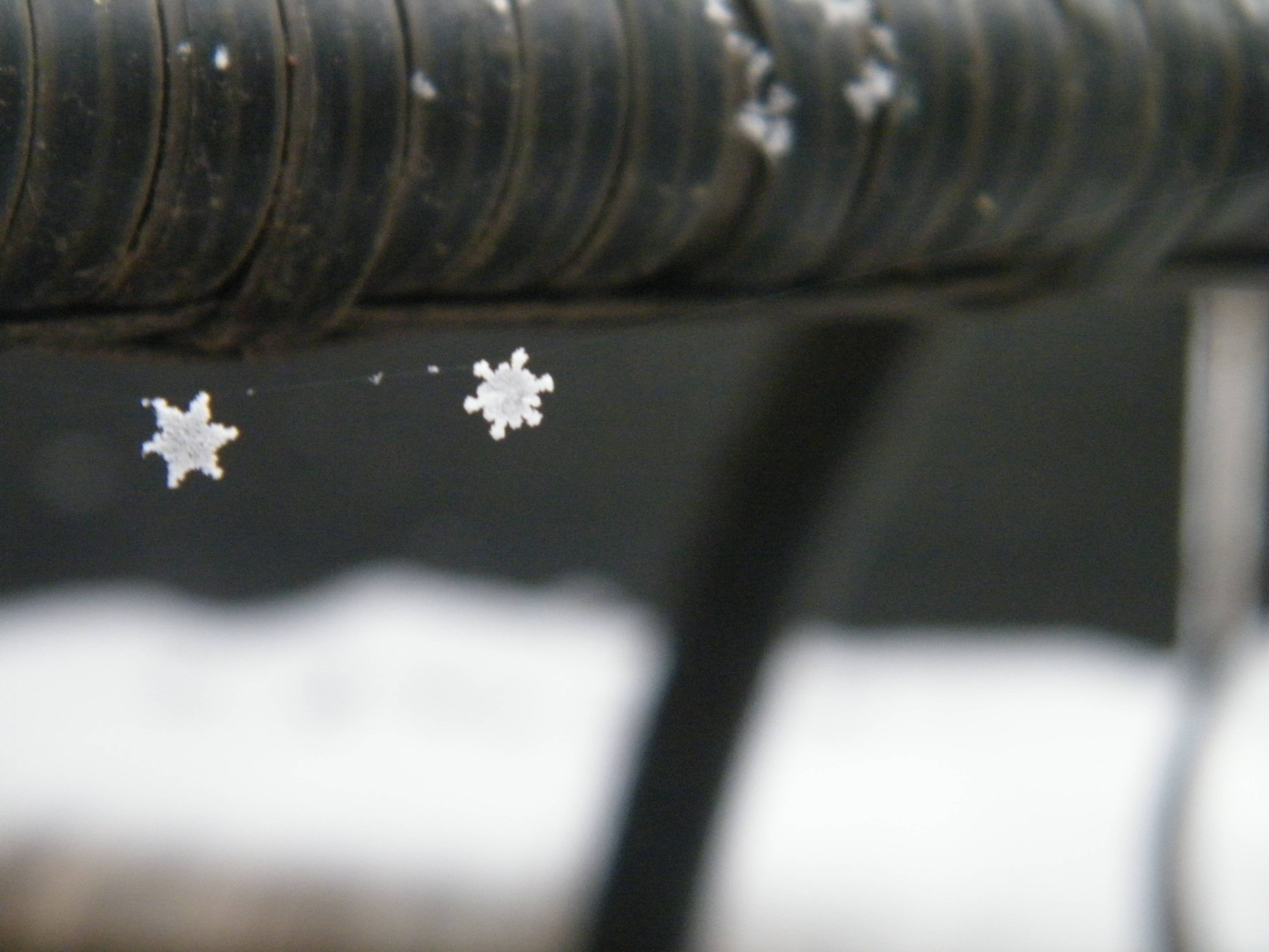 Delicate Snowflakes Adorning a Spider Web