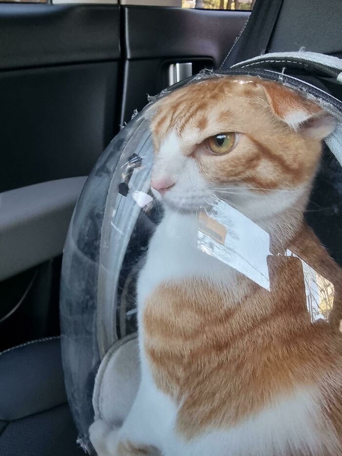 If you need me, I'll be hiding in my angry dome