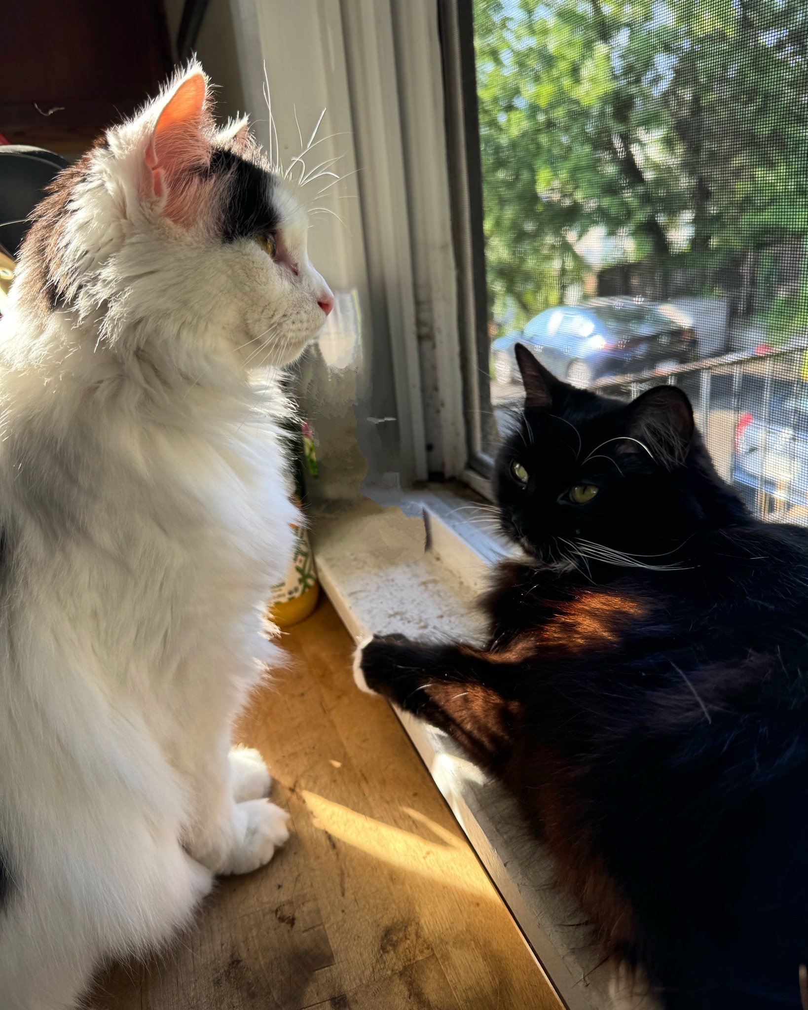 Awkward friendship vibes