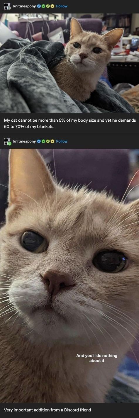 Oops, I Did It Again!