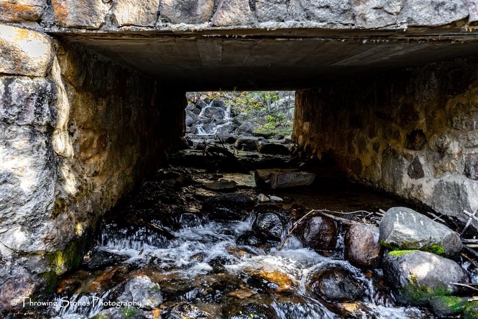 A Serene Creek Scene