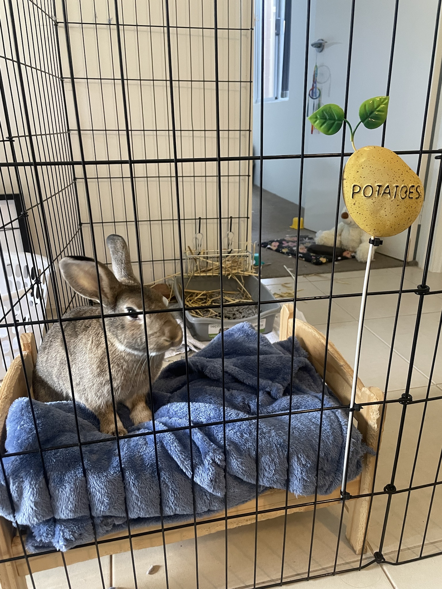 Meet the Joyful Potato Bun!