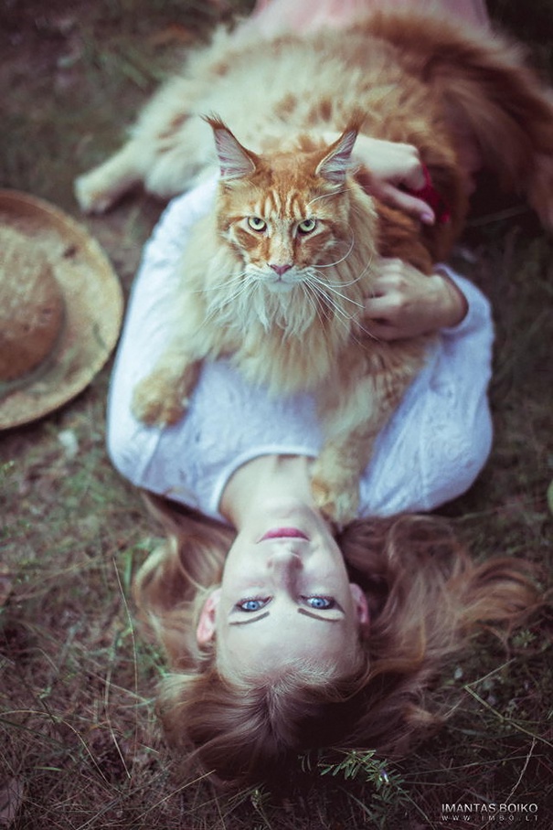 Is This Cat Really Up to No Good?