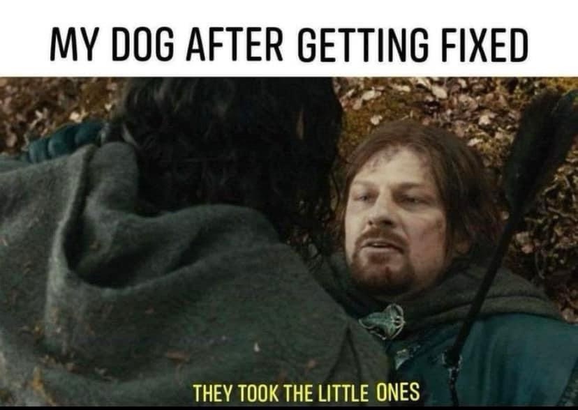 Meme Collection #4: A Journey Through Middle-earth