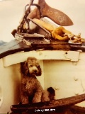 Remembering my childhood favorite dog, Fritzy, who stole my heart.