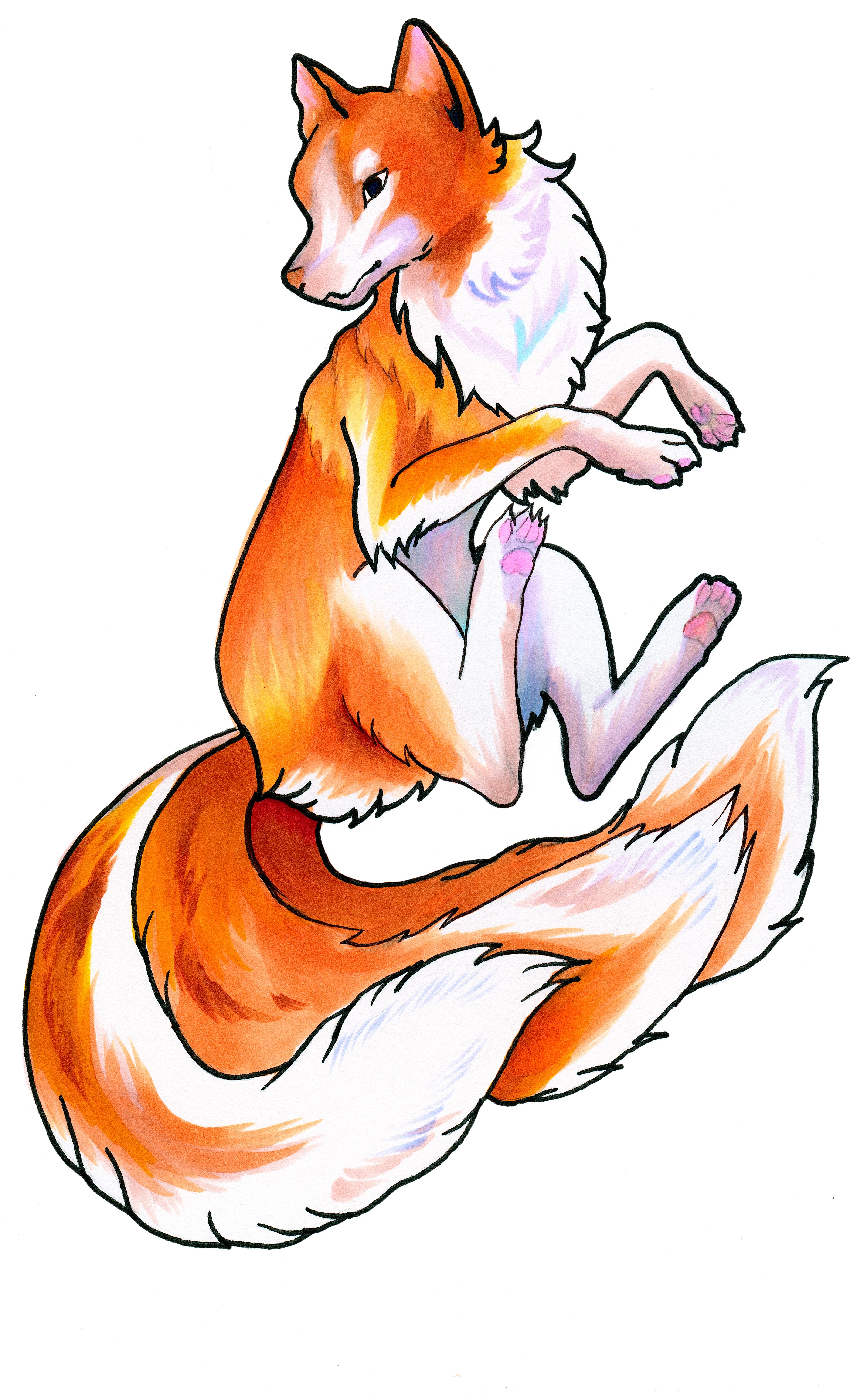 Meet Marker Fox
