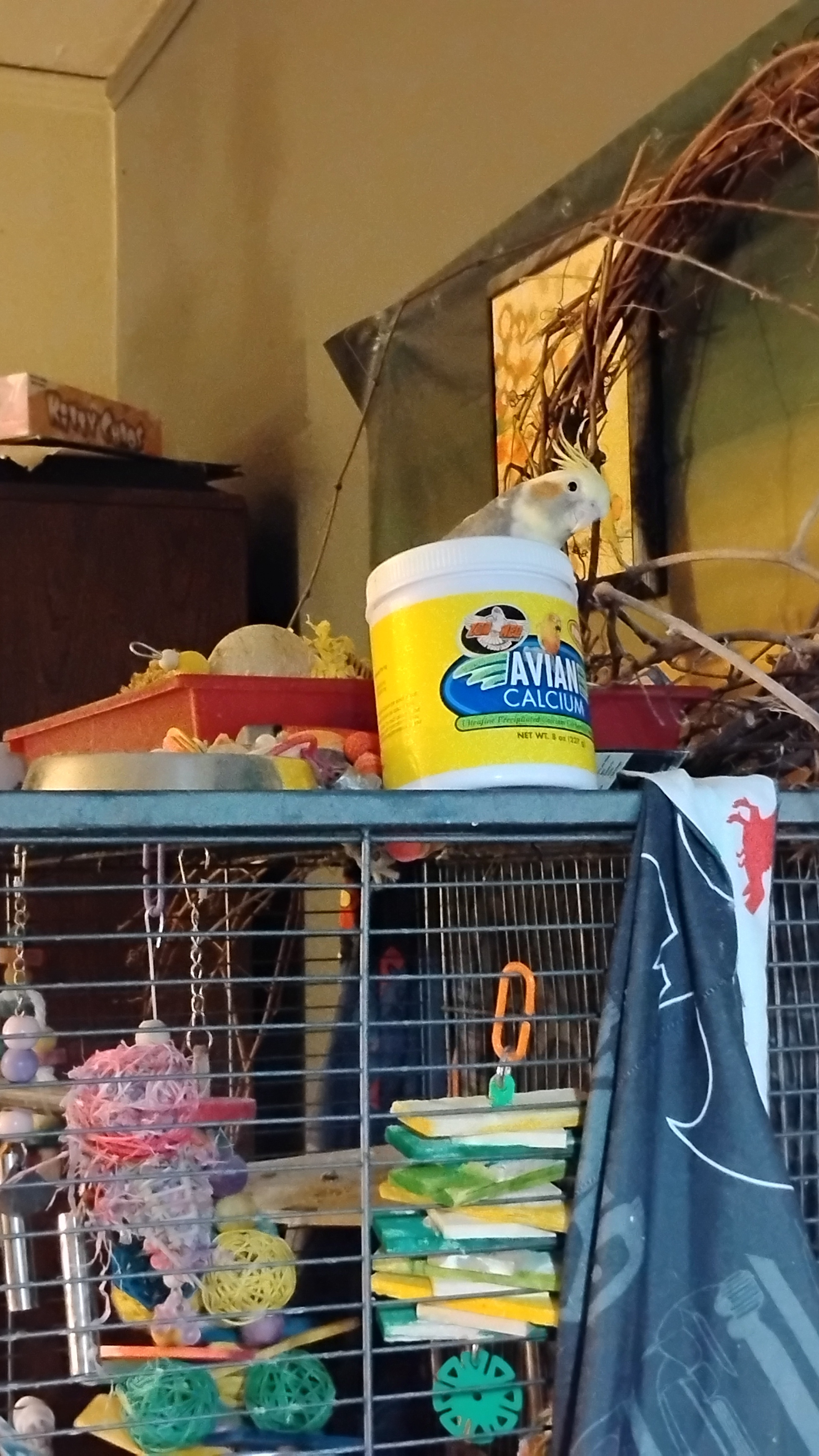 Hey Stepmother, Will You Share Your Pasta Today?