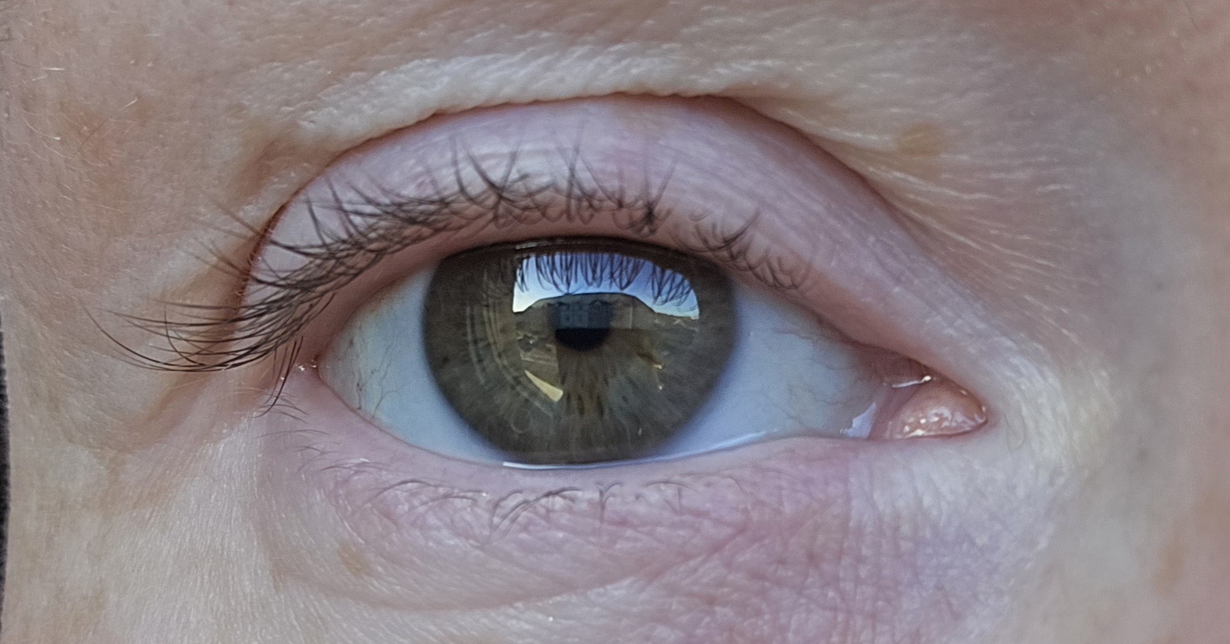 What Color Are My Eyes? Let's Find Out!