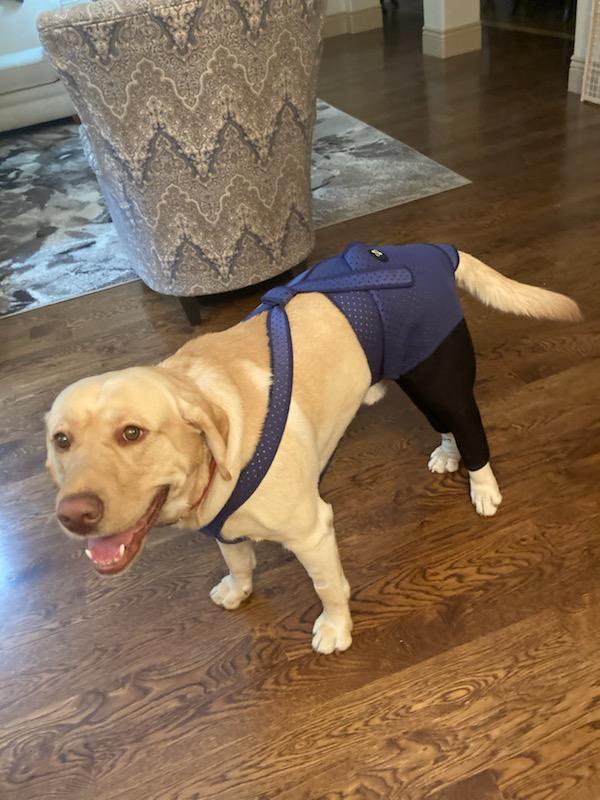Celebrating My Cake Day with Hunter in His Stylish Suspenders