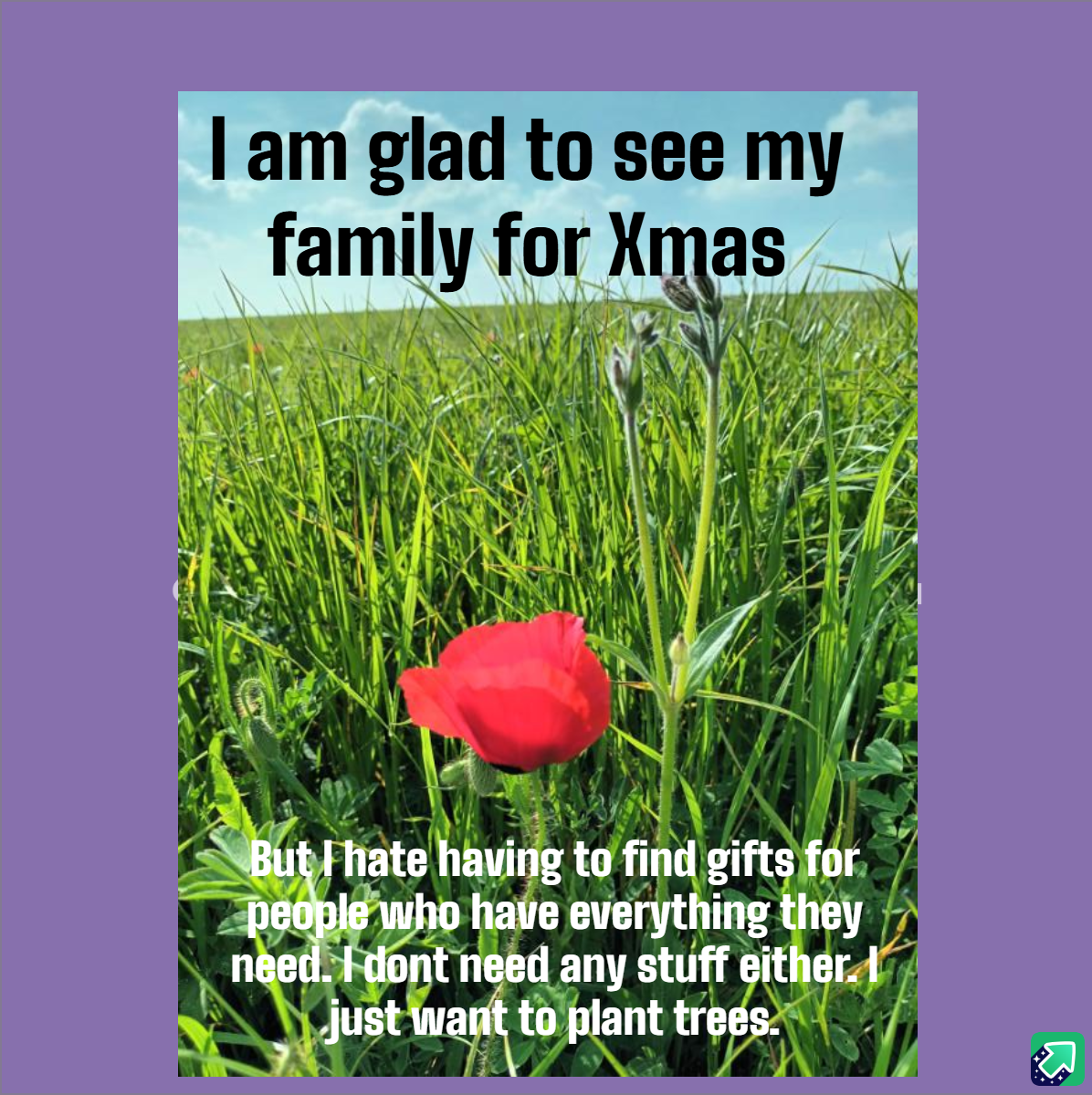 A Yule Rant: Letting Out the Holiday Frustrations