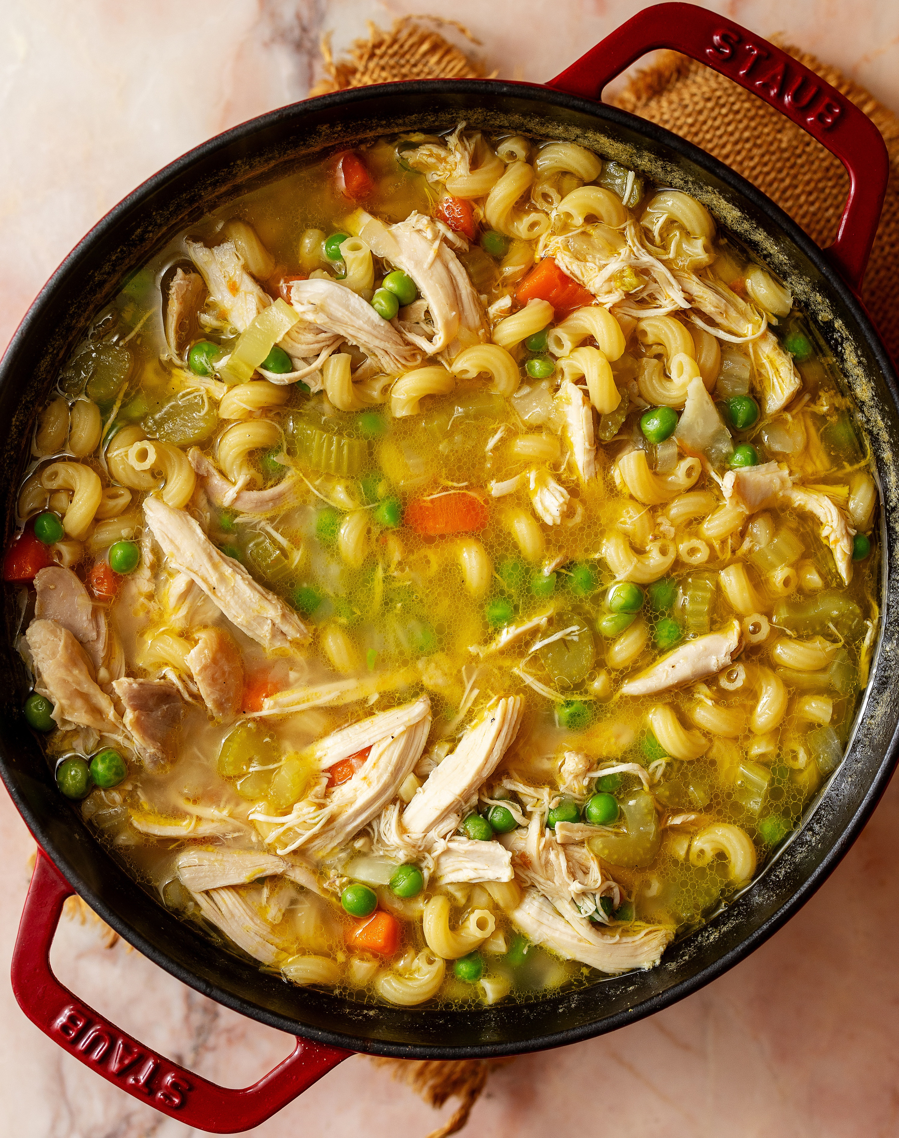 Delicious Chicken Vegetable Soup Recipe!