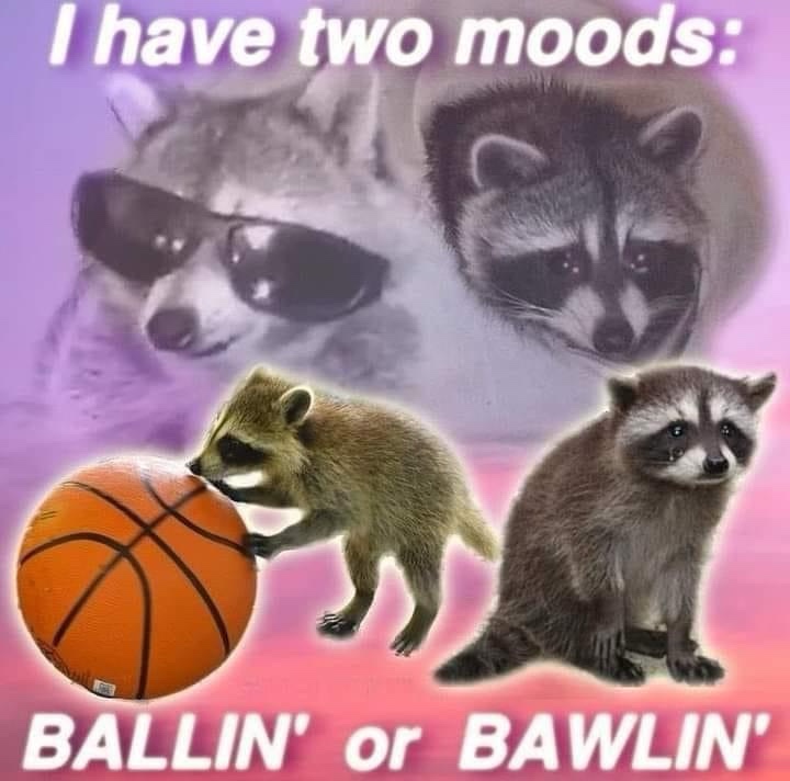 I've Got Memes Ready to Go - Prepare for Laughter!