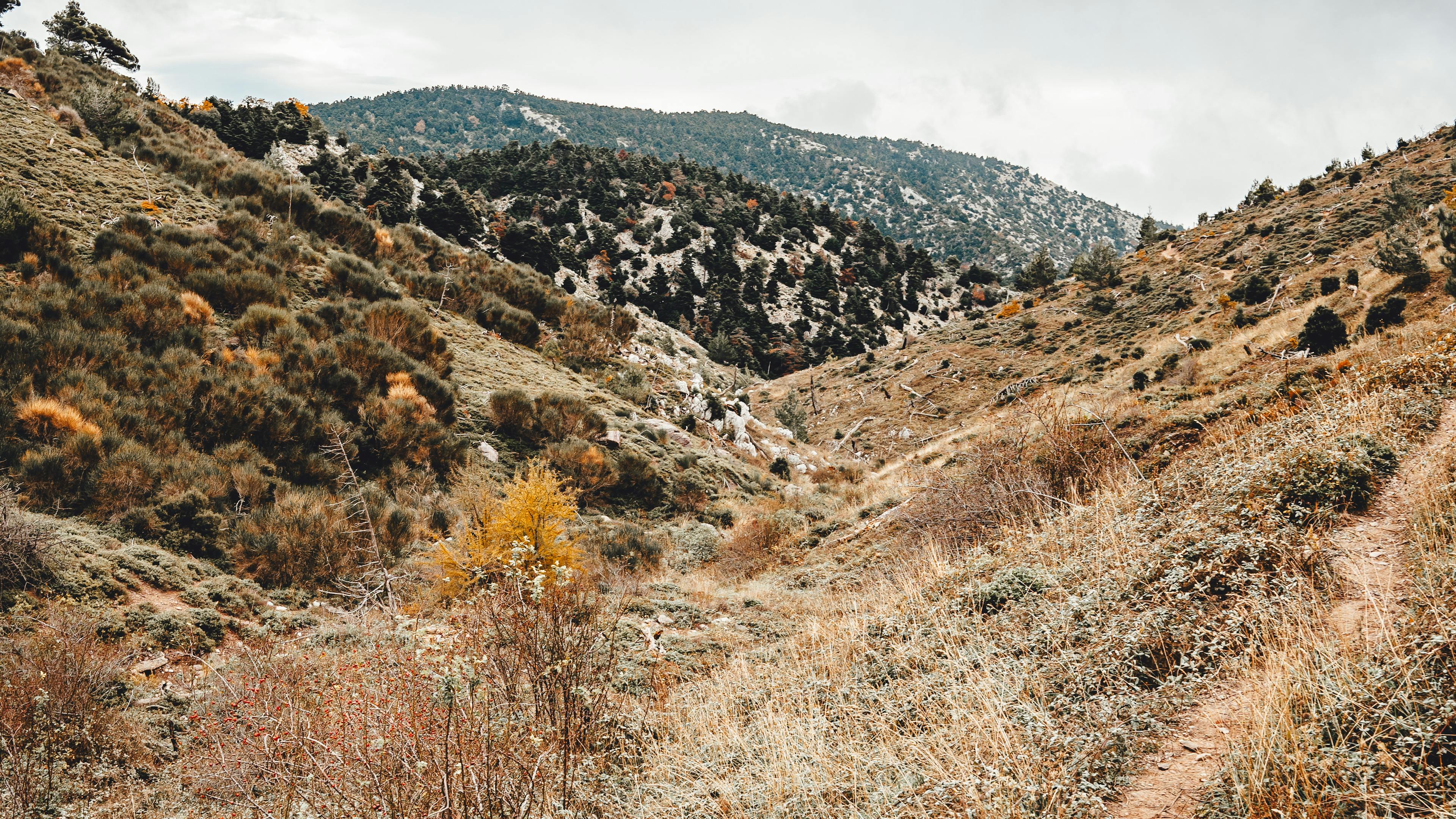 Exploring the breathtaking autumn mountain valley