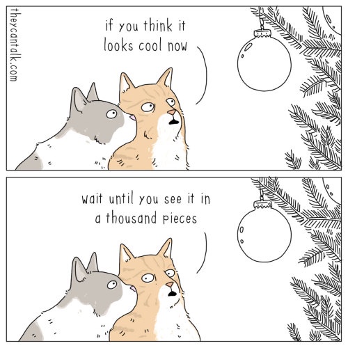 It's the Most Wonderful Time of the Year: Christmas Edition