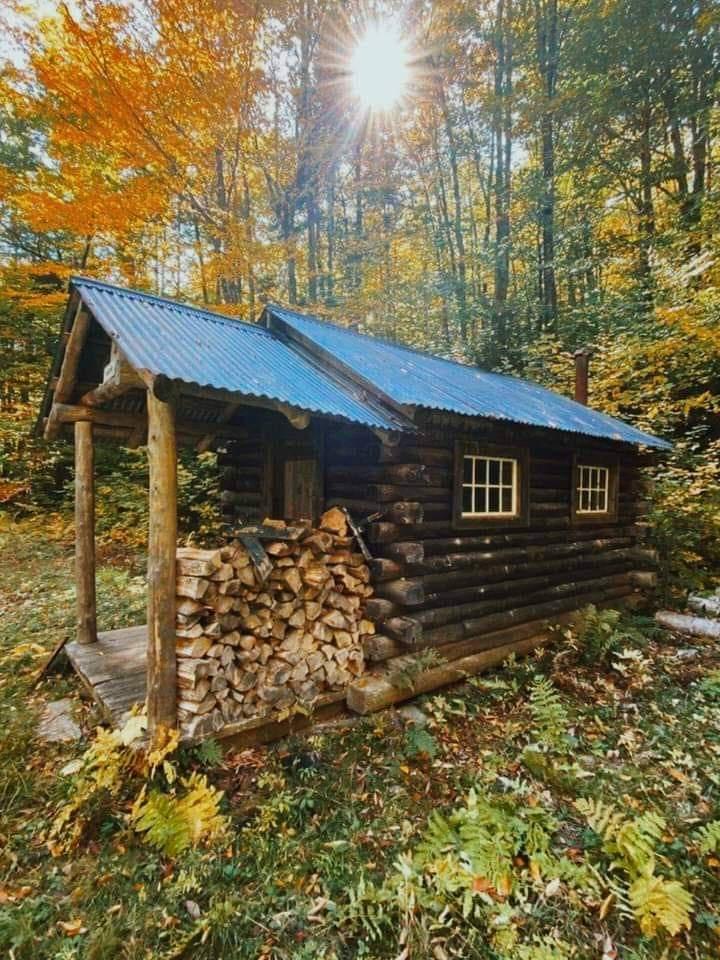 Embracing the Cozy Cabin and Autumn Vibes