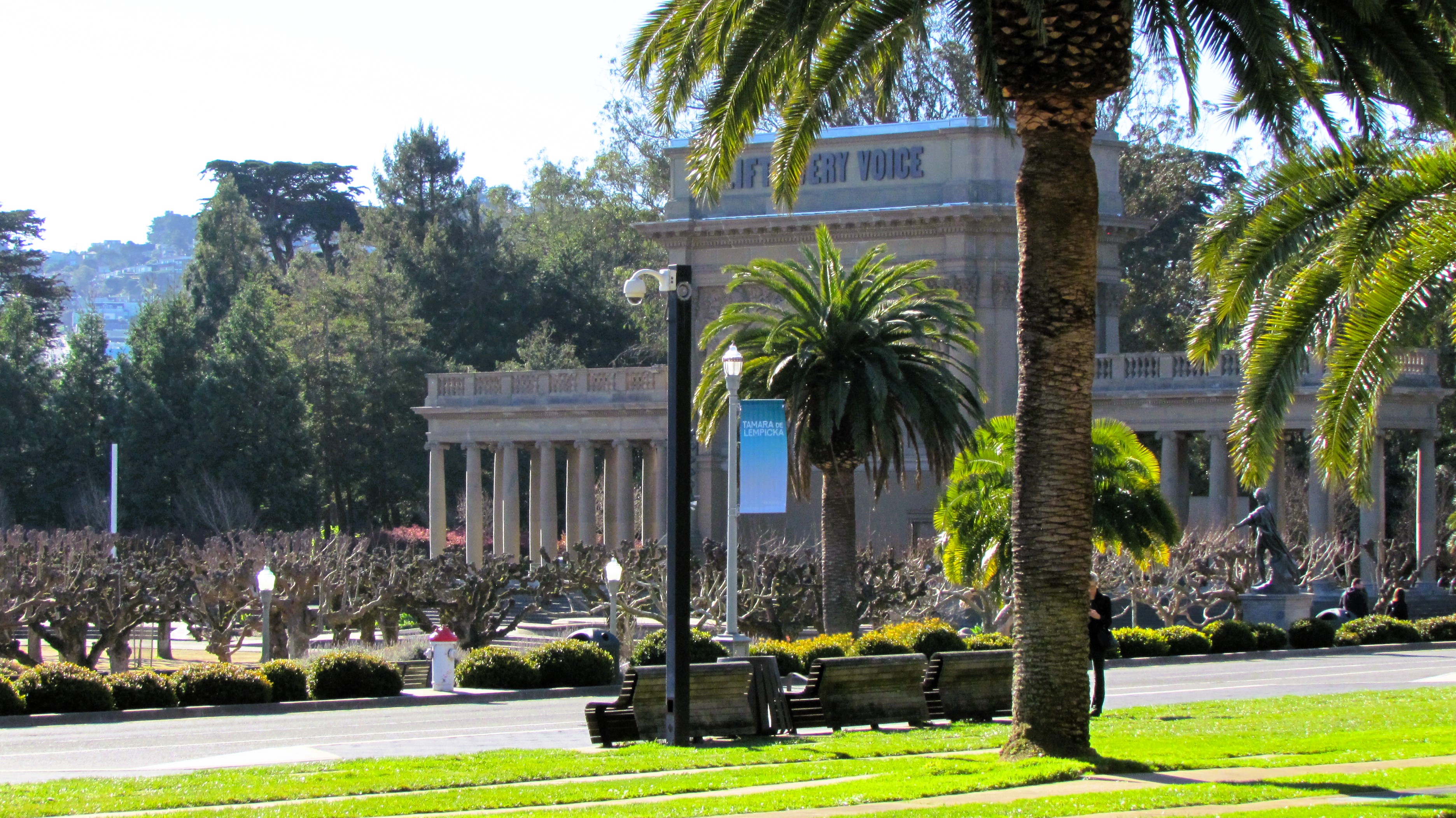 Exploring the Beauty of Golden Gate Park