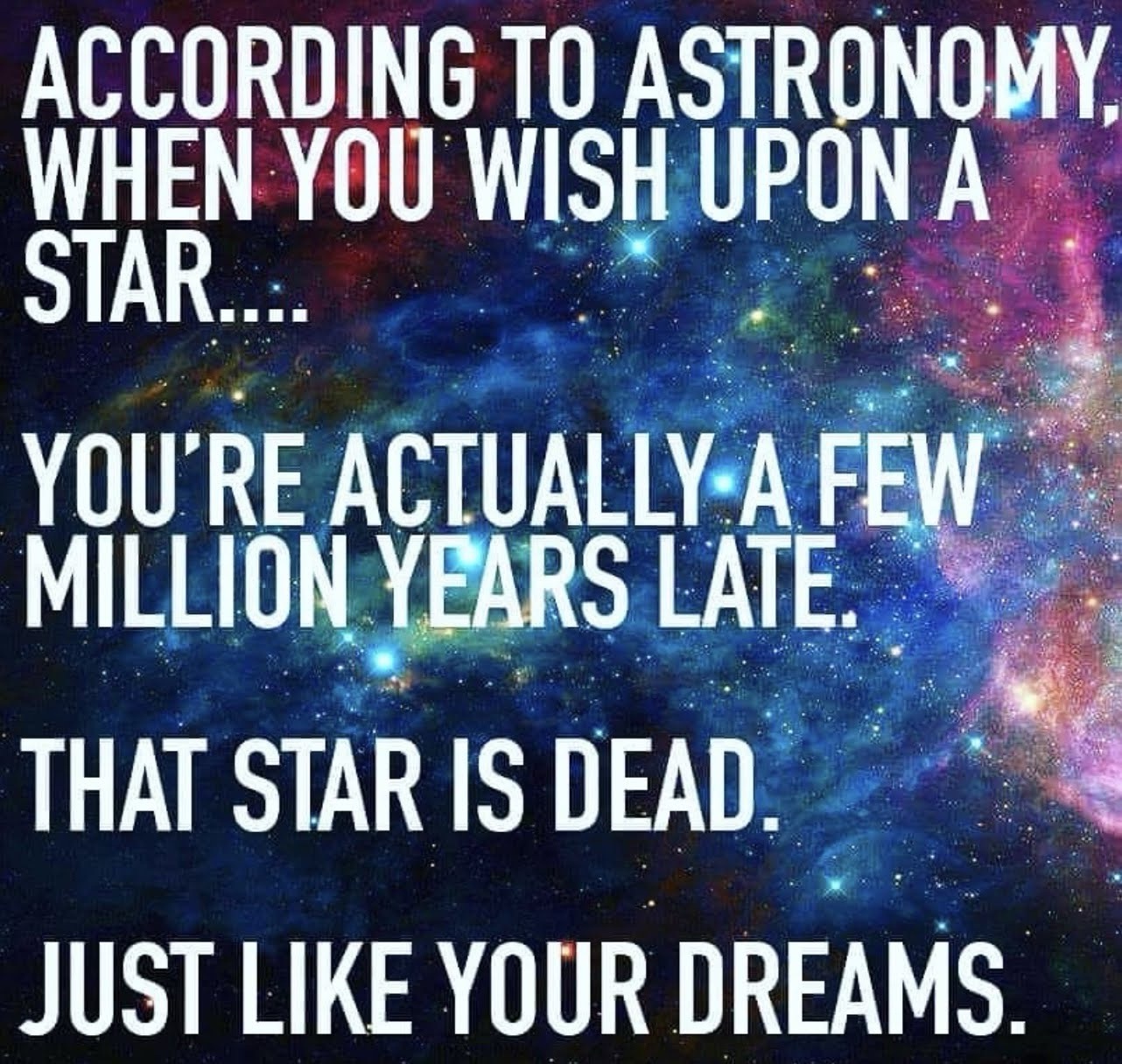 Chasing My Wildest Dreams