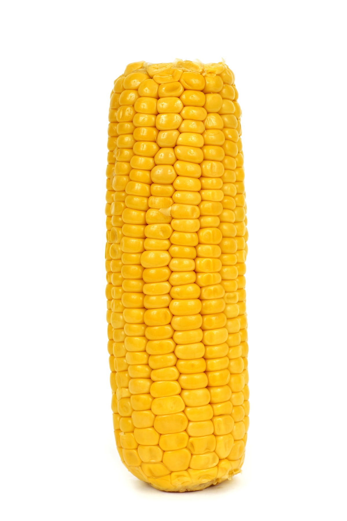 Join the Corn Team for Some Fun!