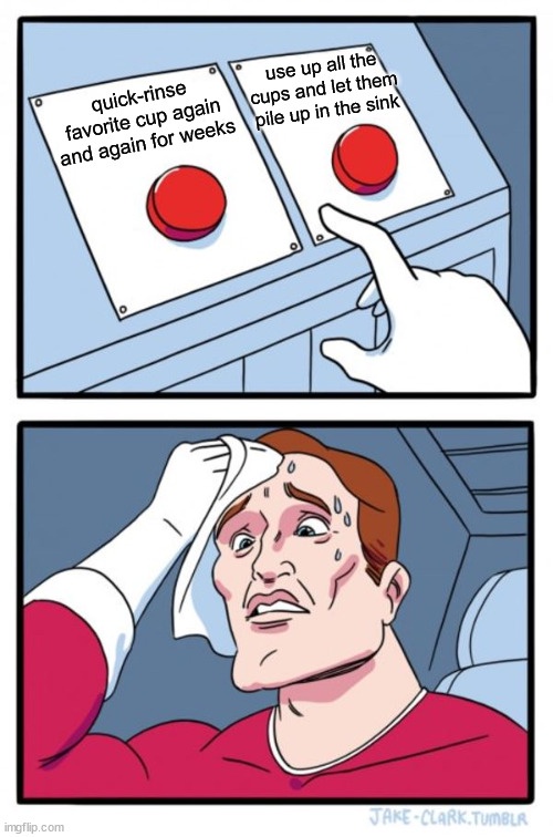 My Life in Two Distinct Modes