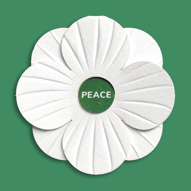 Honoring the brave souls: A tribute to all victims of war
