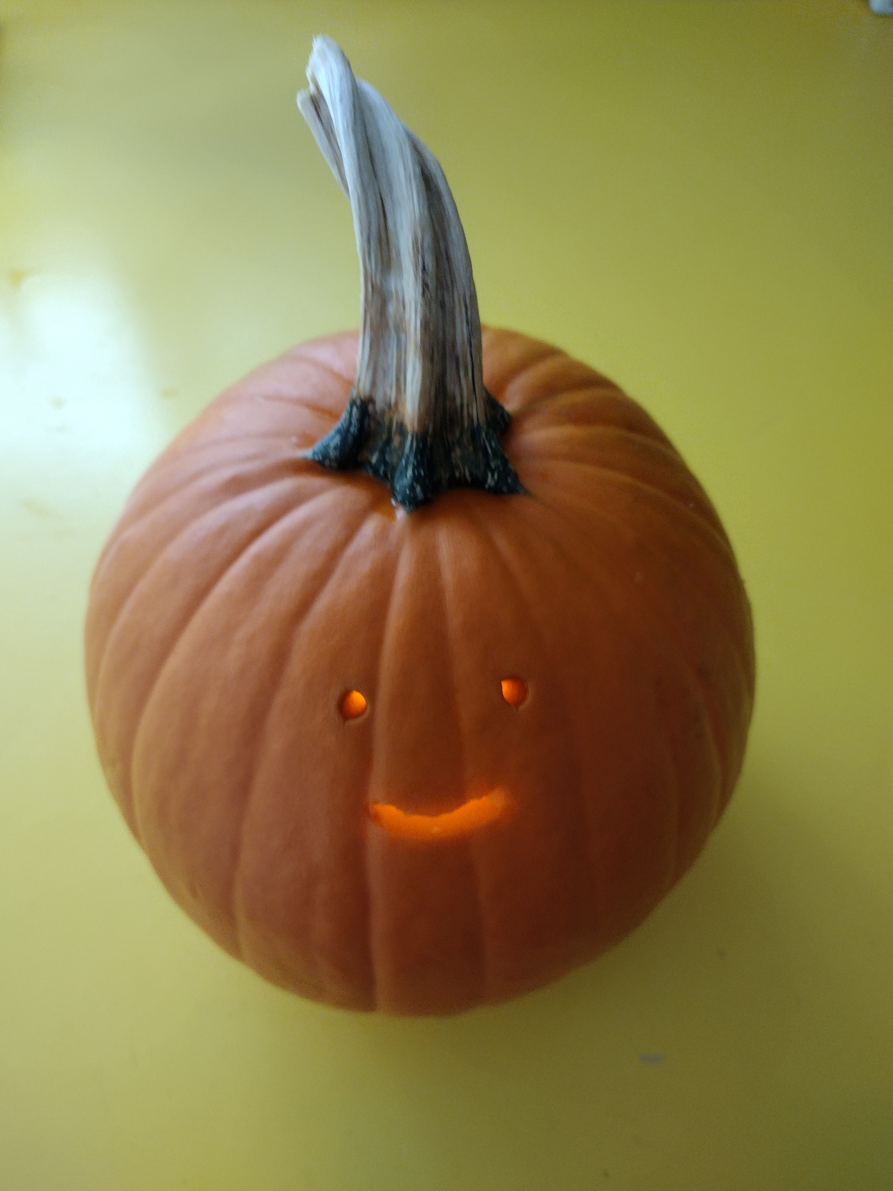It's pumpkin season!