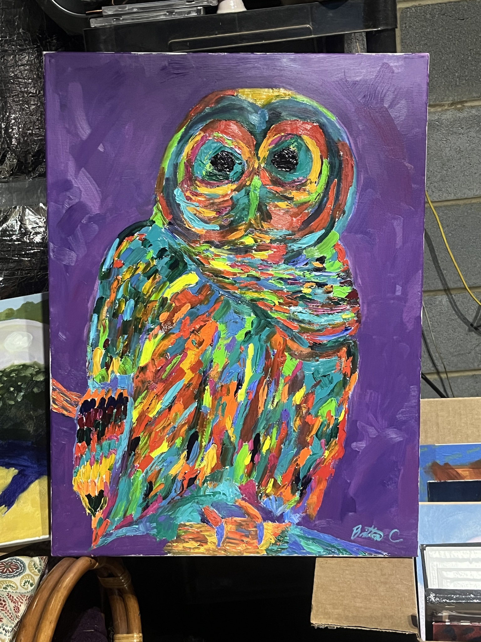 Palette Knife Masterpiece: Barred Owl No 1