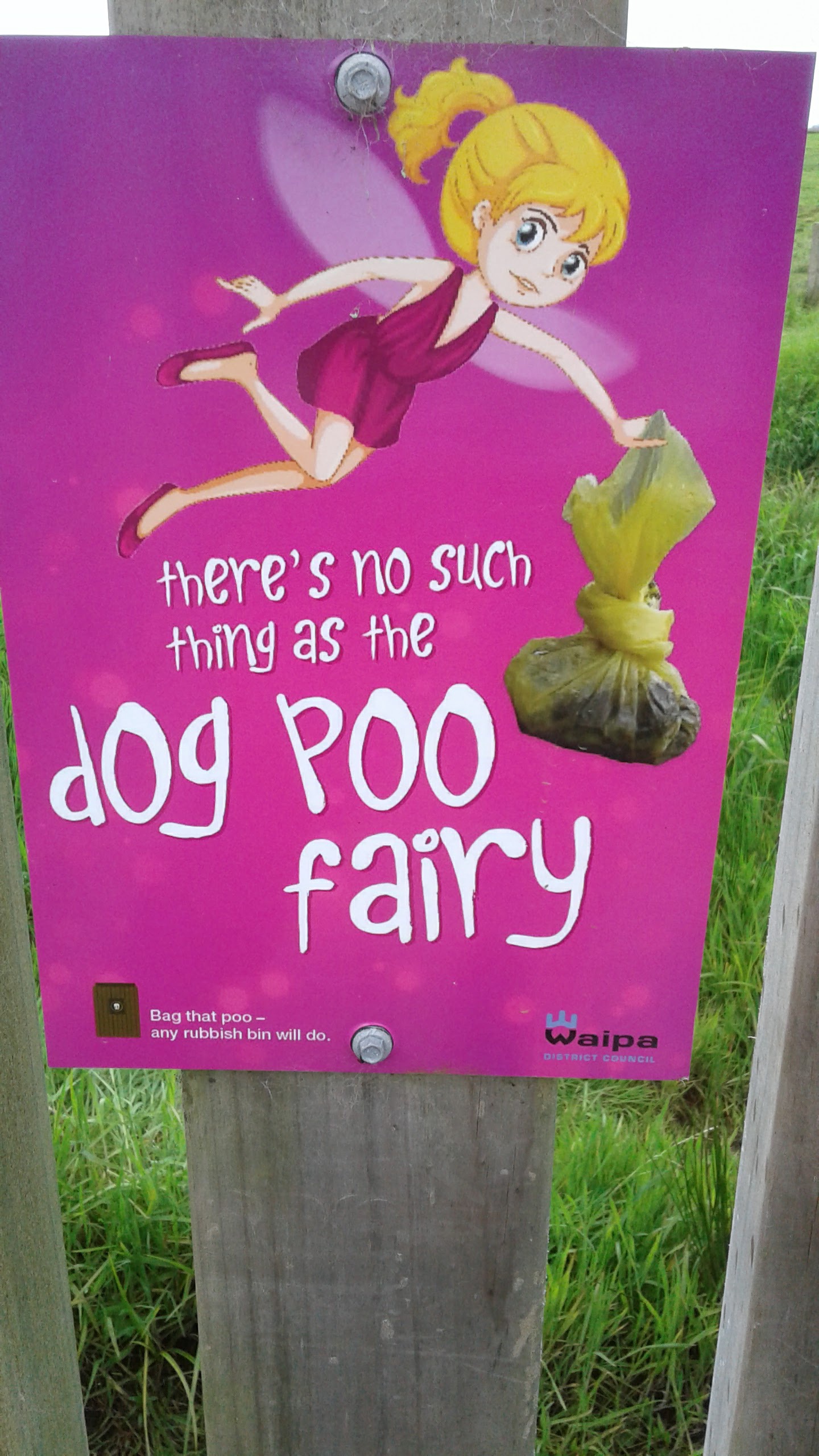 Introducing Poooella: The Enchanting Dog Poo Fairy