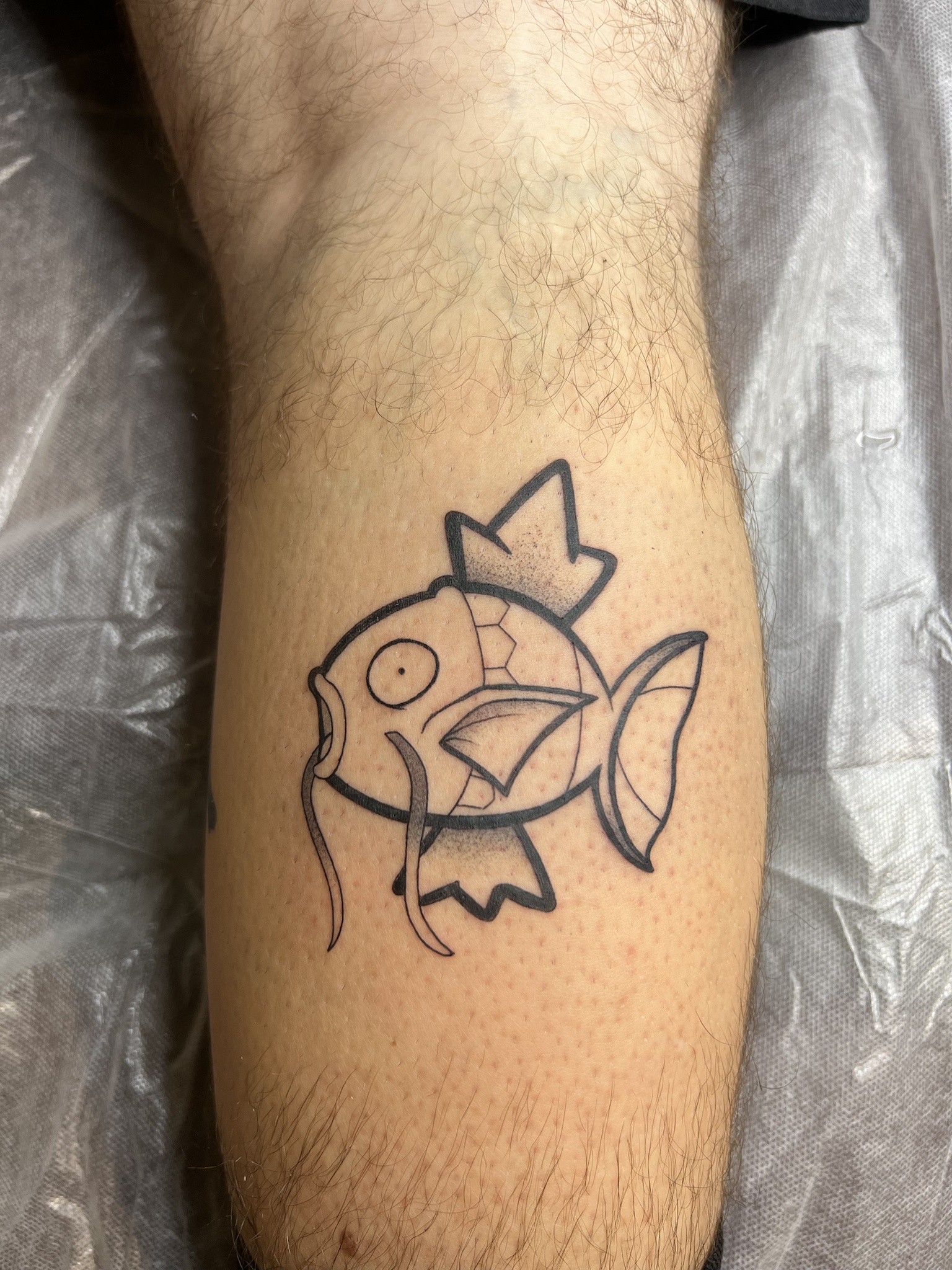 Is that really a MAGIKARP I see?